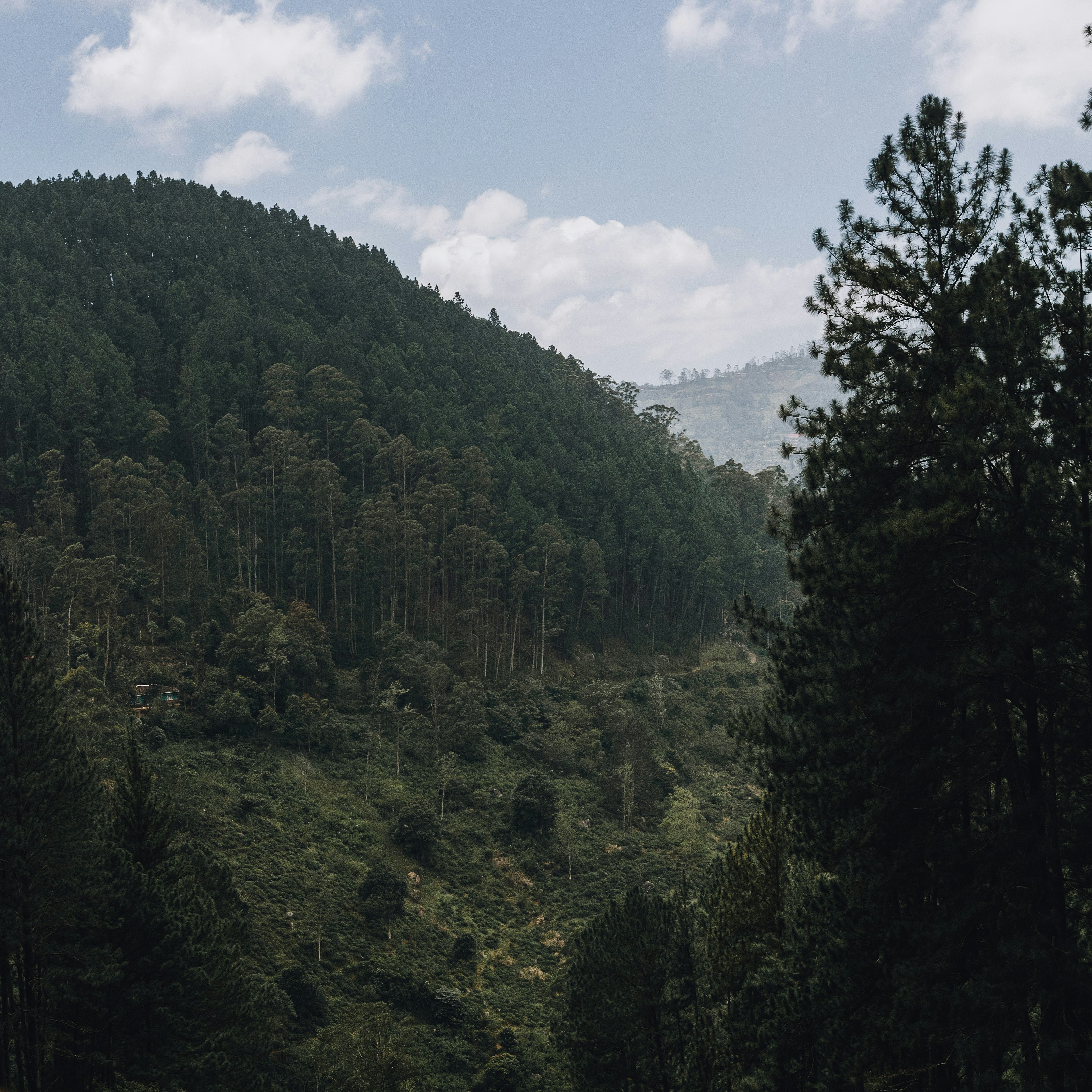 Photo by lastmanpaul