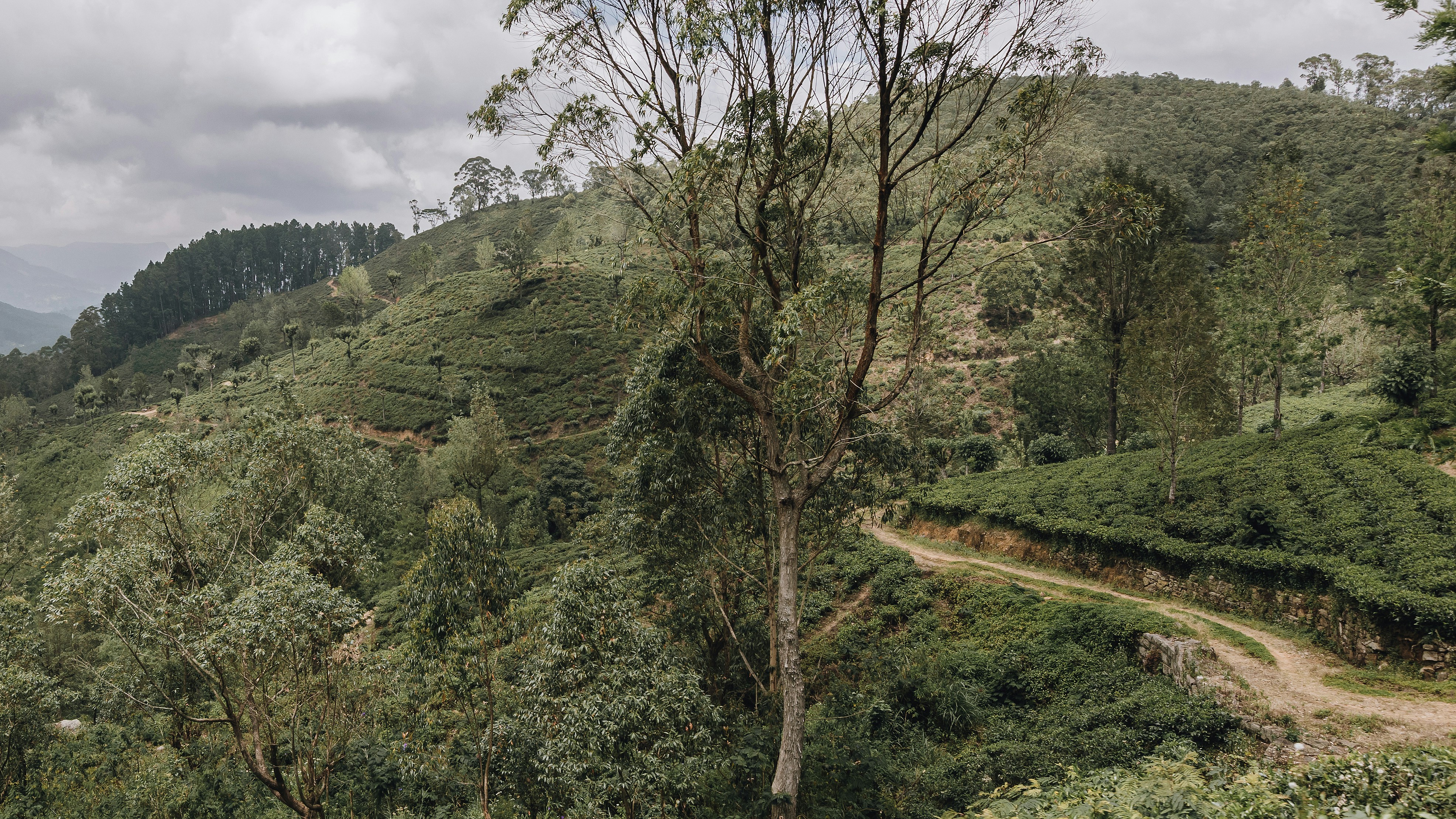 Photo by lastmanpaul