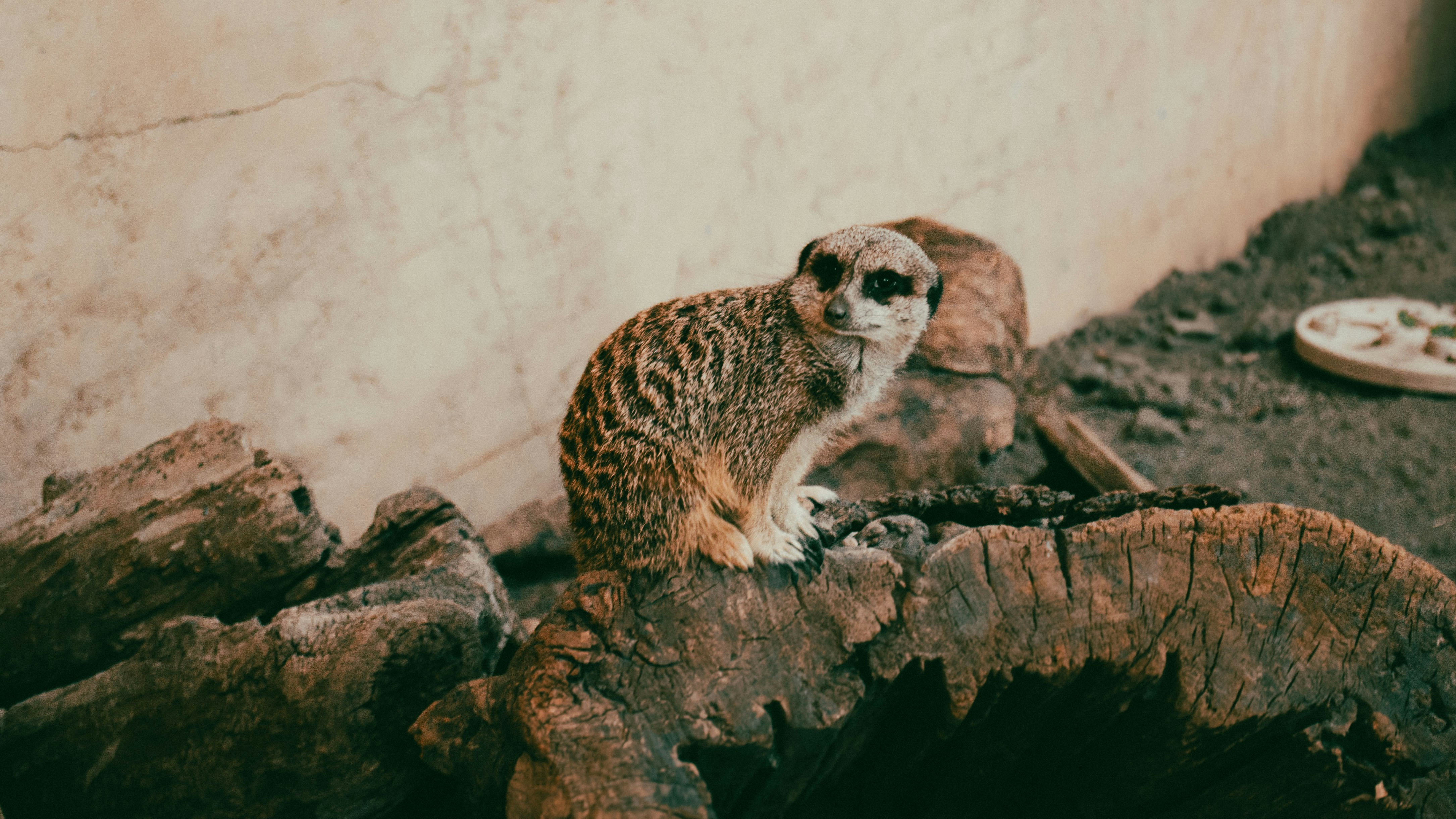 Chockerande räntehöjning! Girighet sätter press på hushållen!