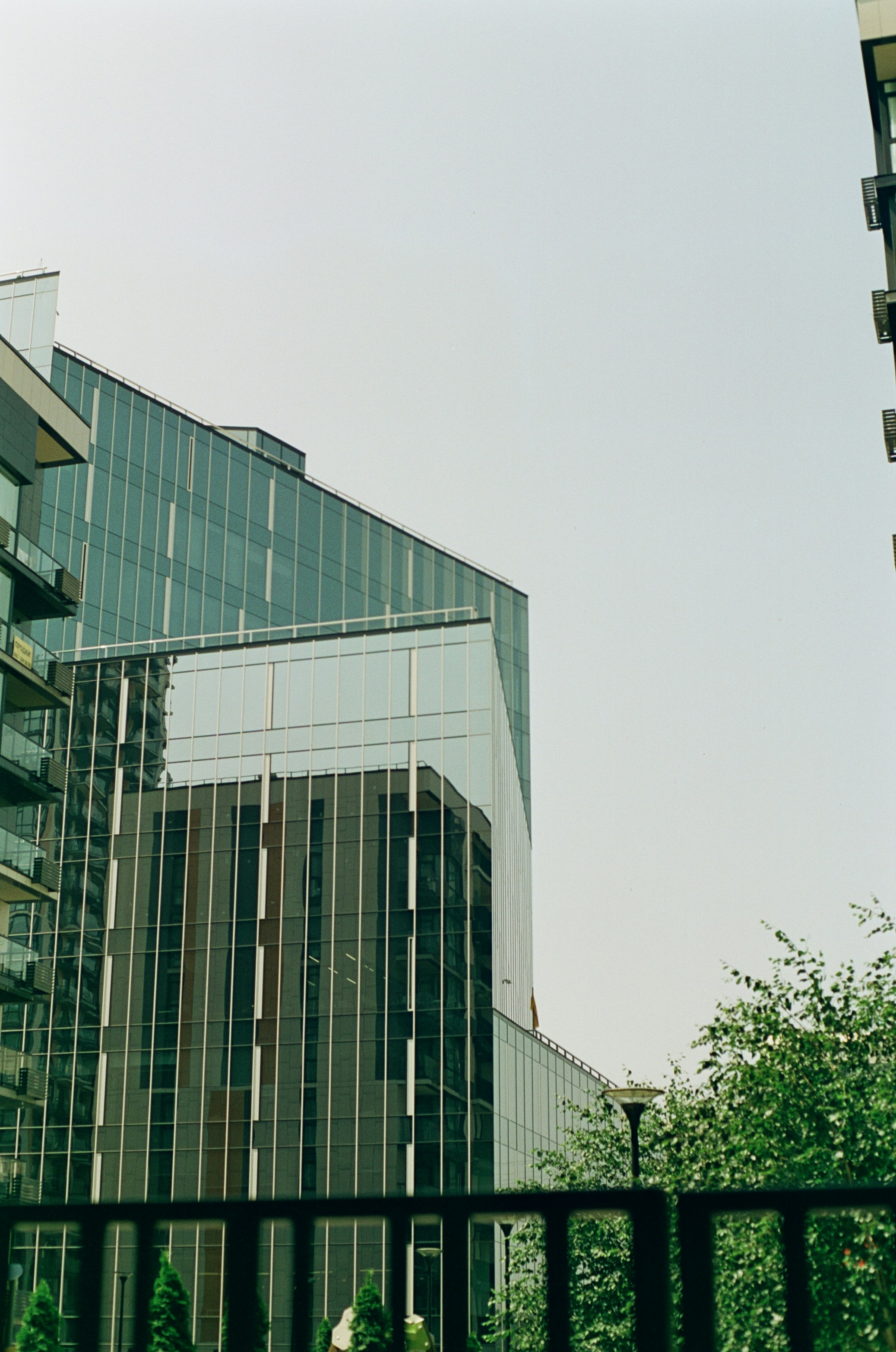 Photo by nikkoz_design