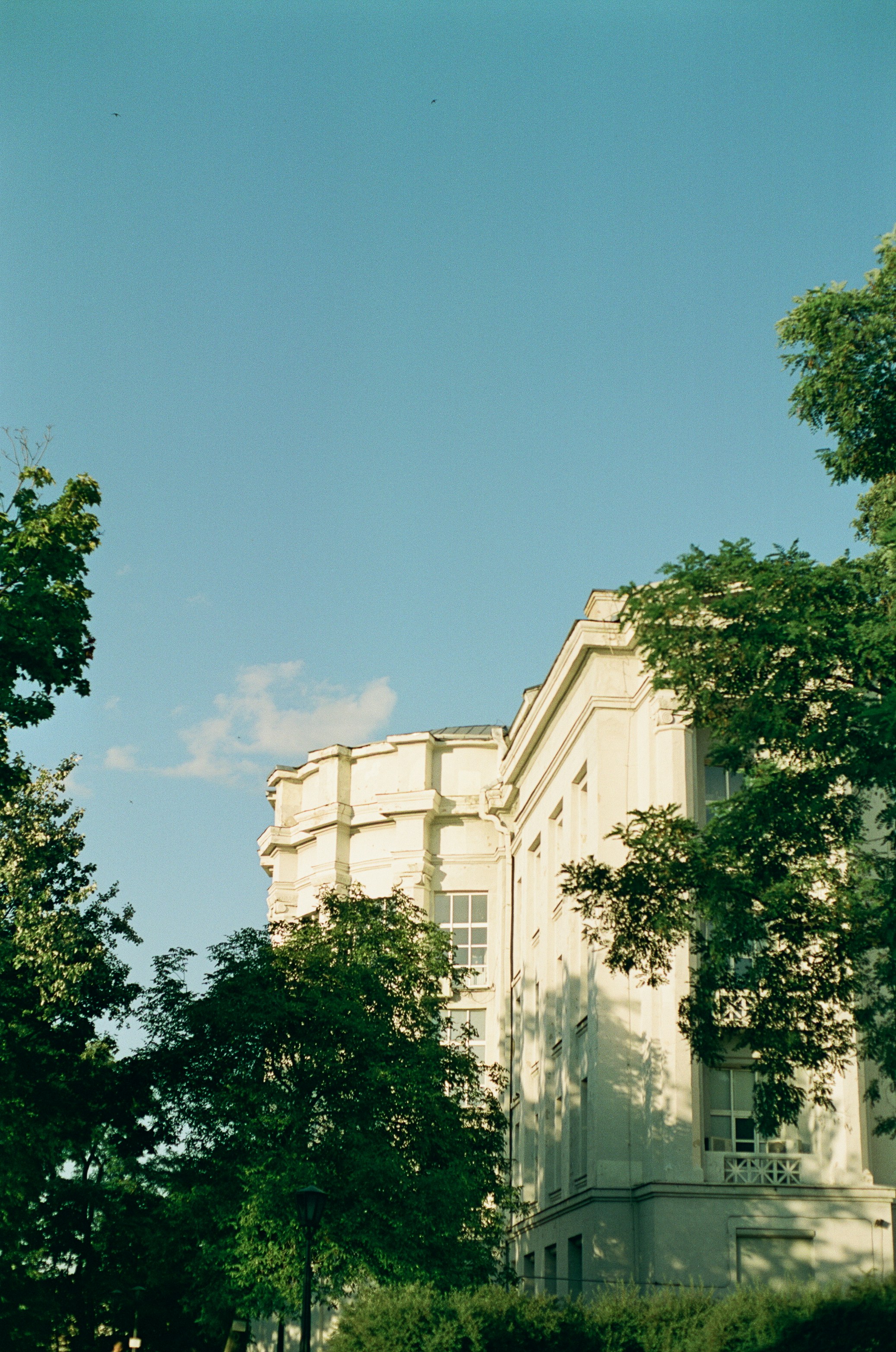 Photo by nikkoz_design