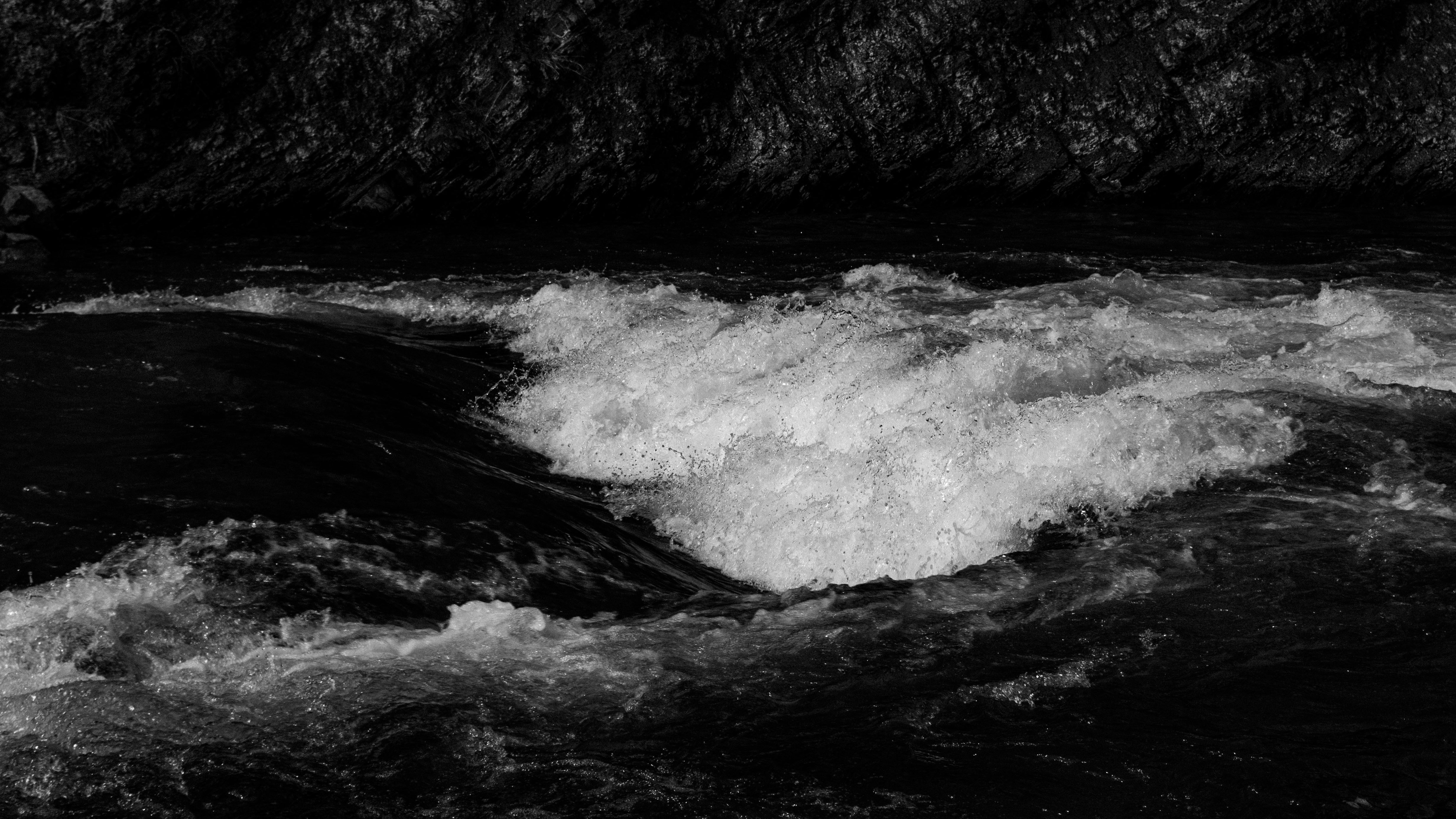 Photo by dmytro_yarish