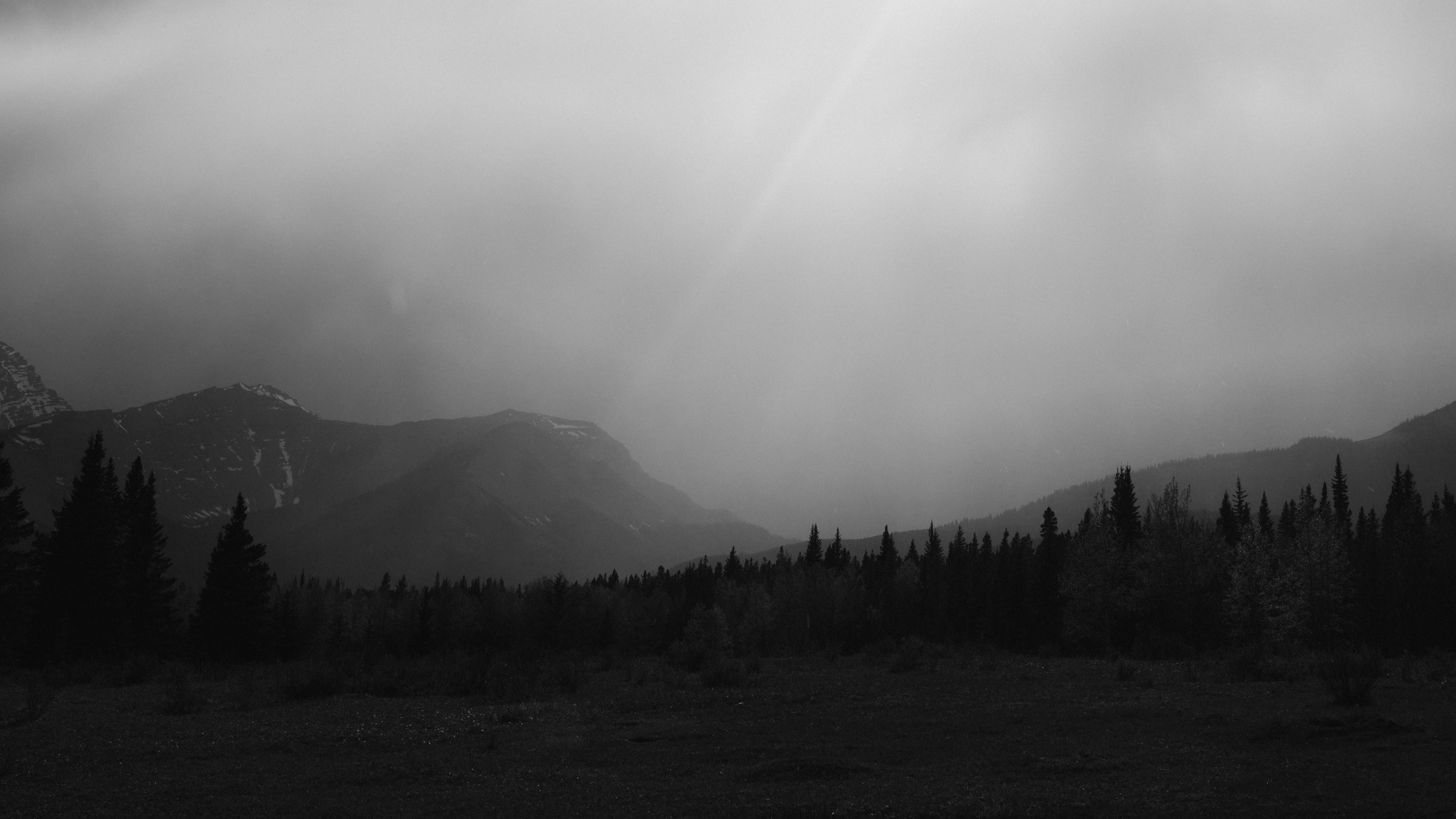 Photo by dmytro_yarish