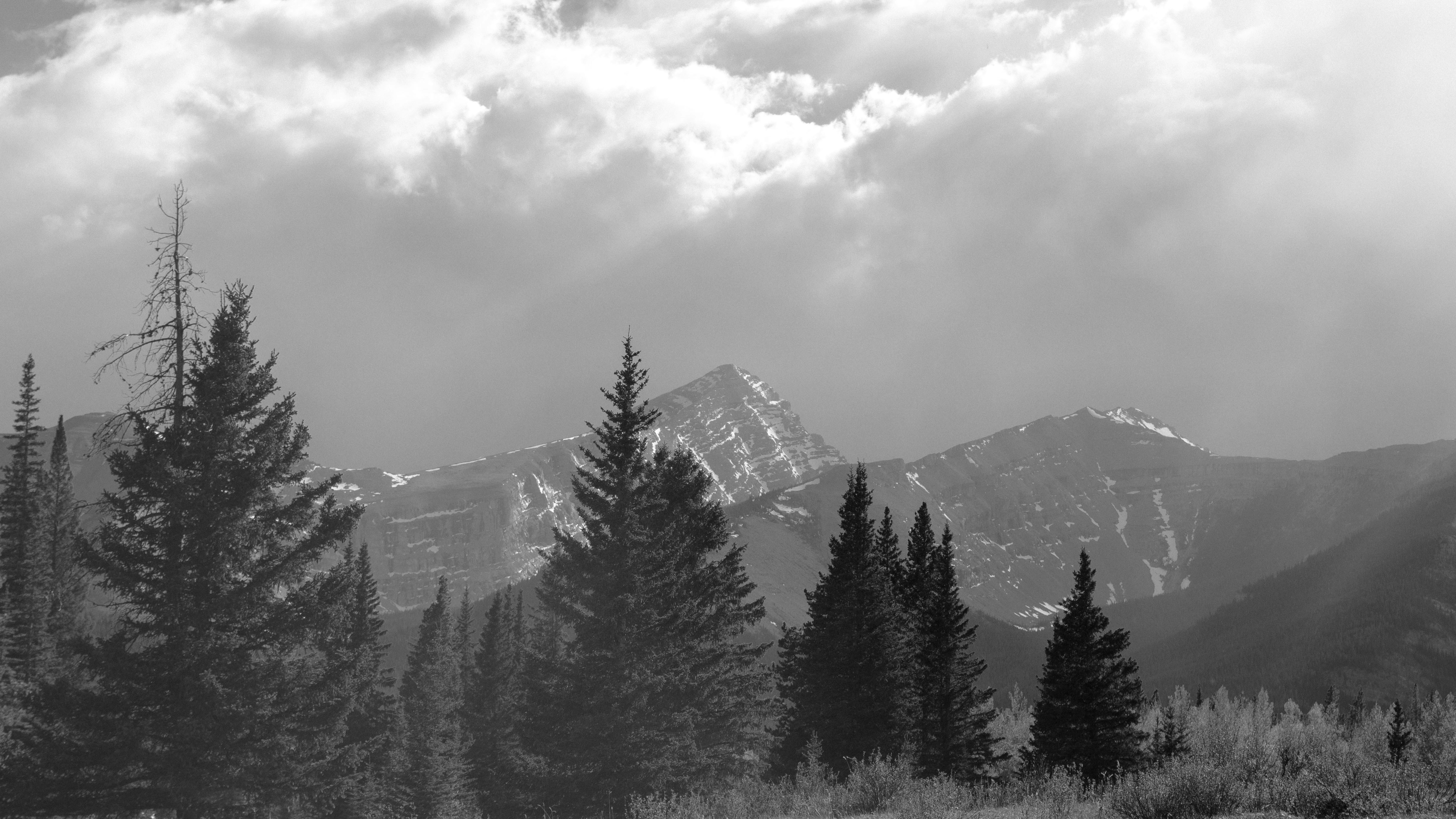 Photo by dmytro_yarish