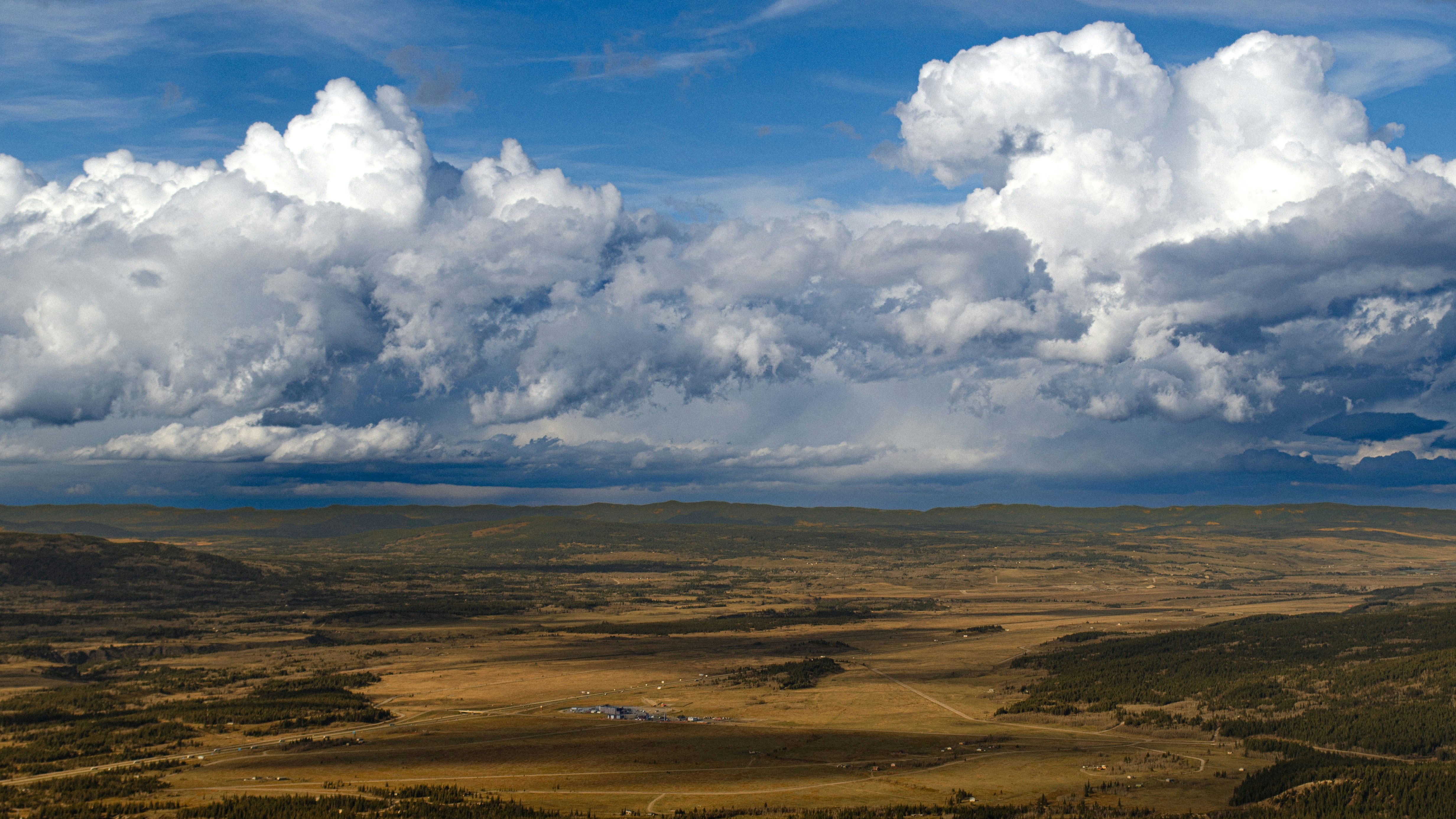 Photo by dmytro_yarish