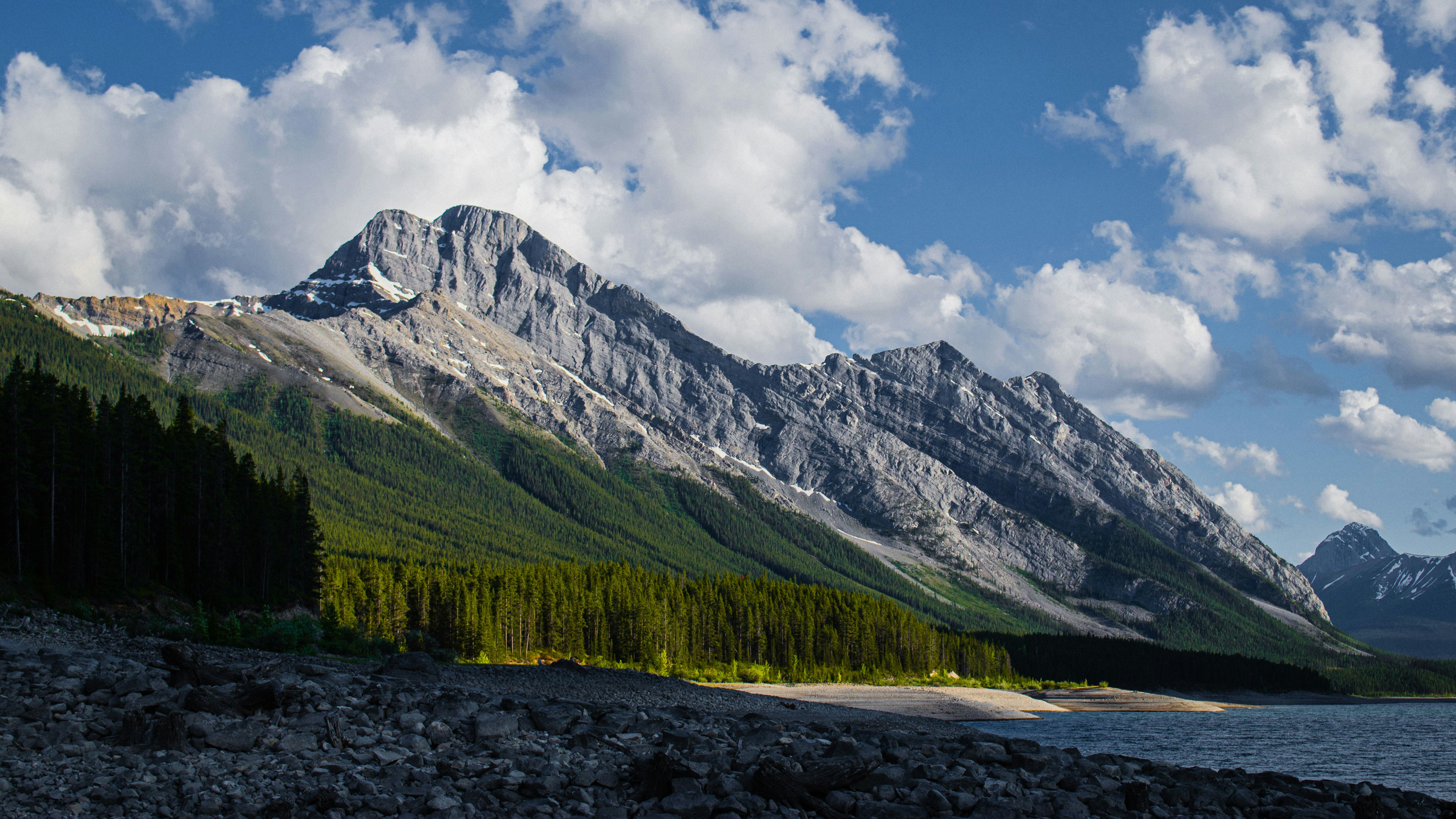 Photo by dmytro_yarish