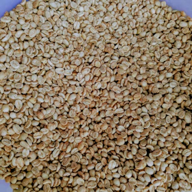 Heap of raw, unroasted coffee beans