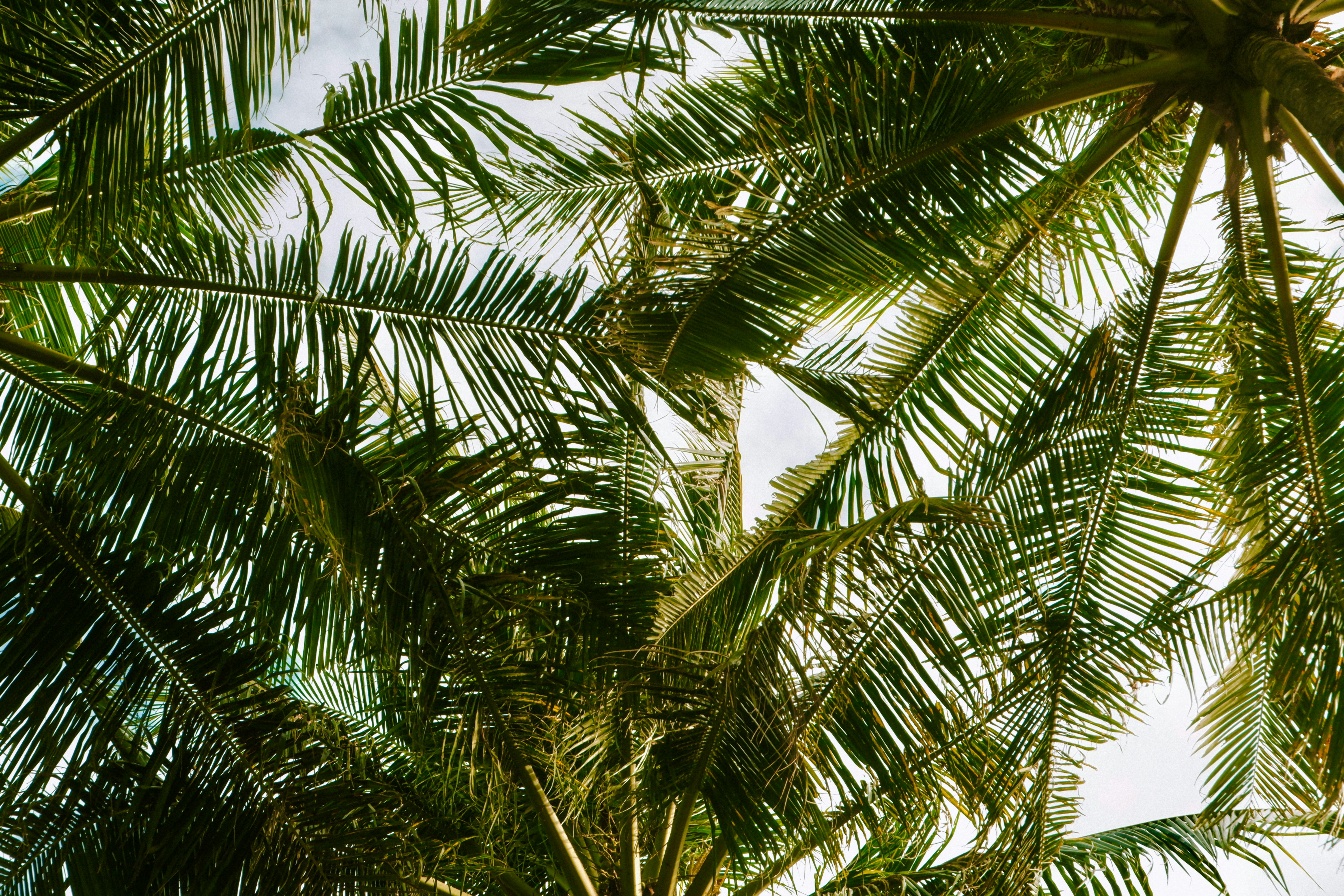 How To Study The Holy Bible As A Family: Structure Belief In Your Home