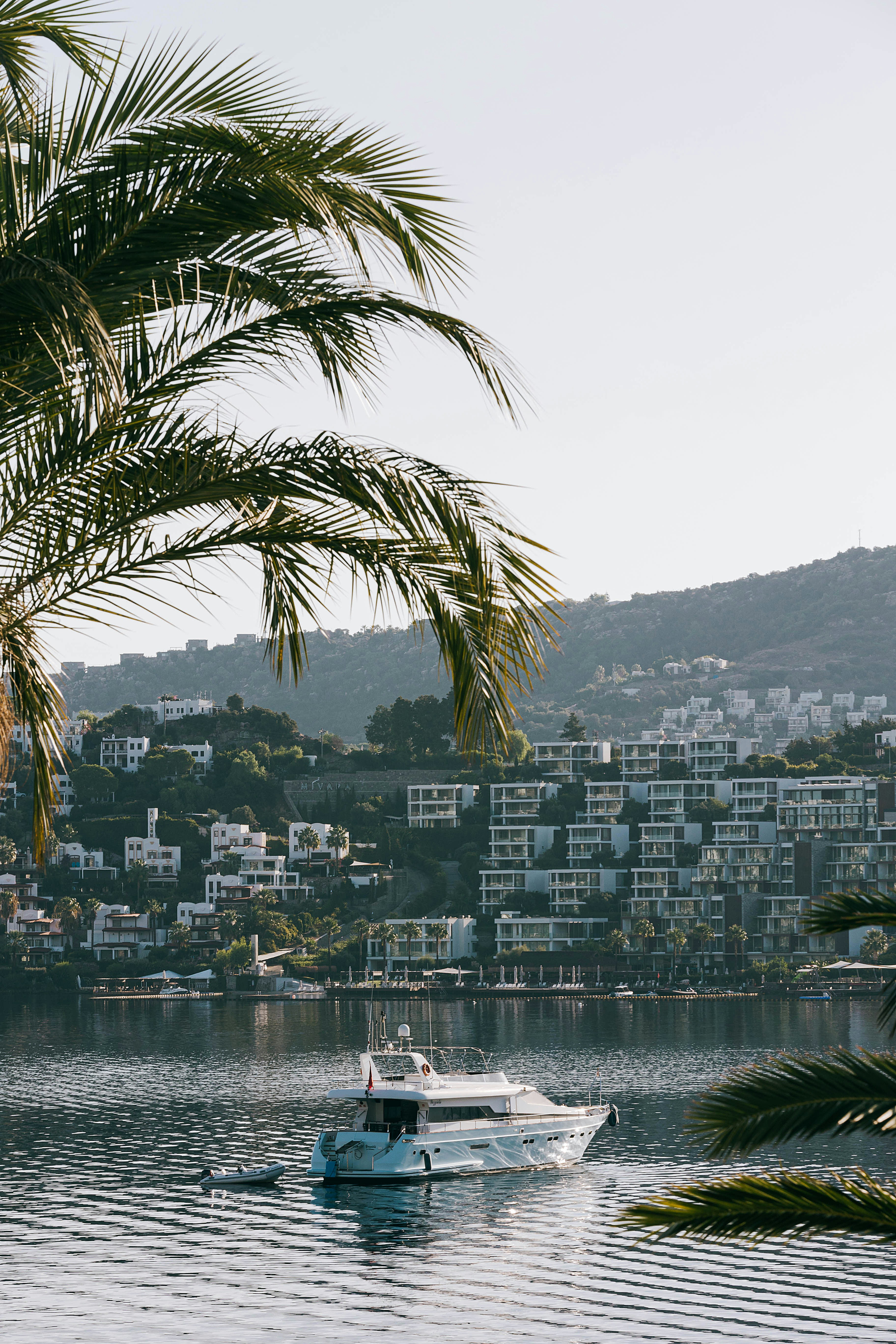 Photo by lastmanpaul