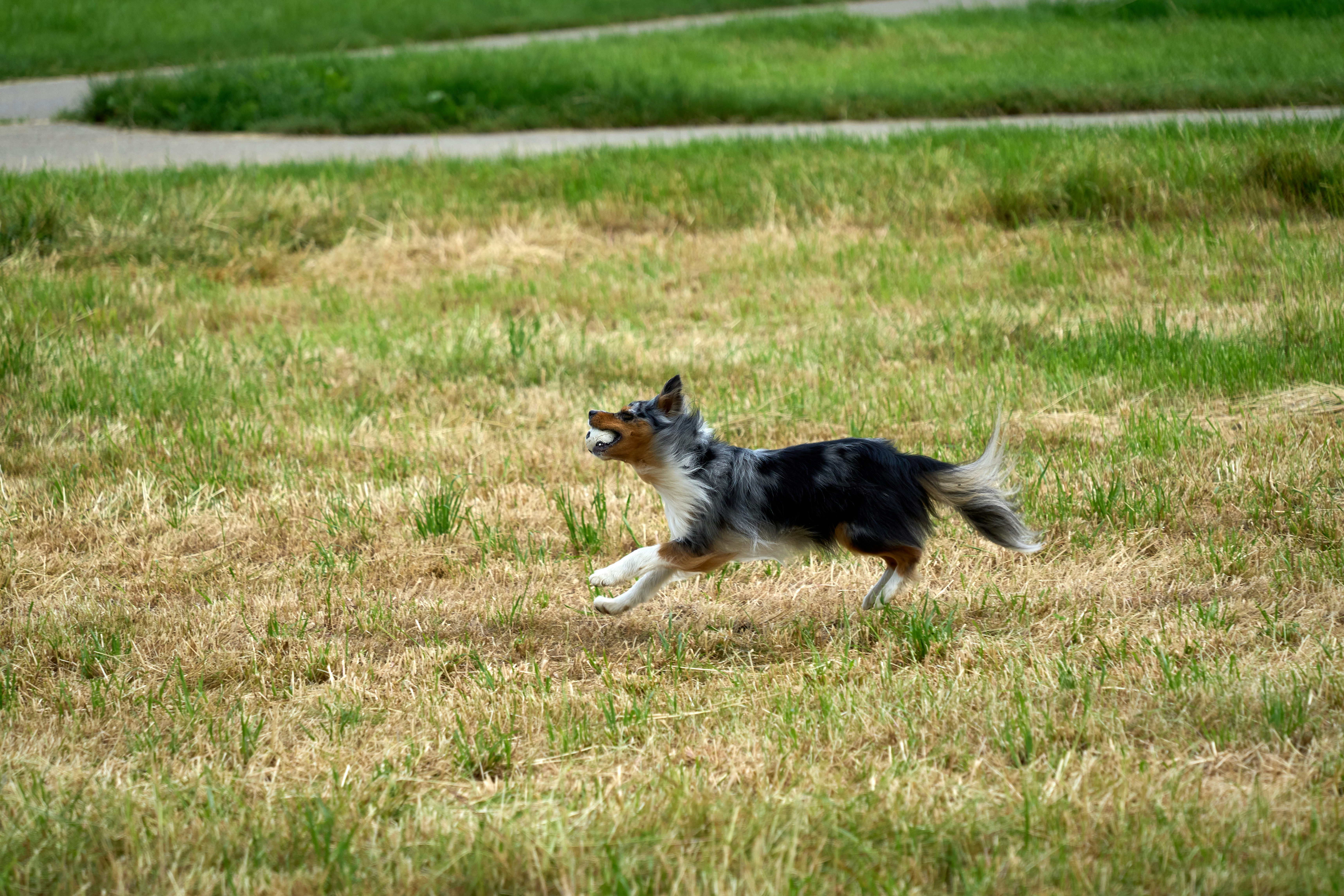 Neurological and Cognitive Sensitivity