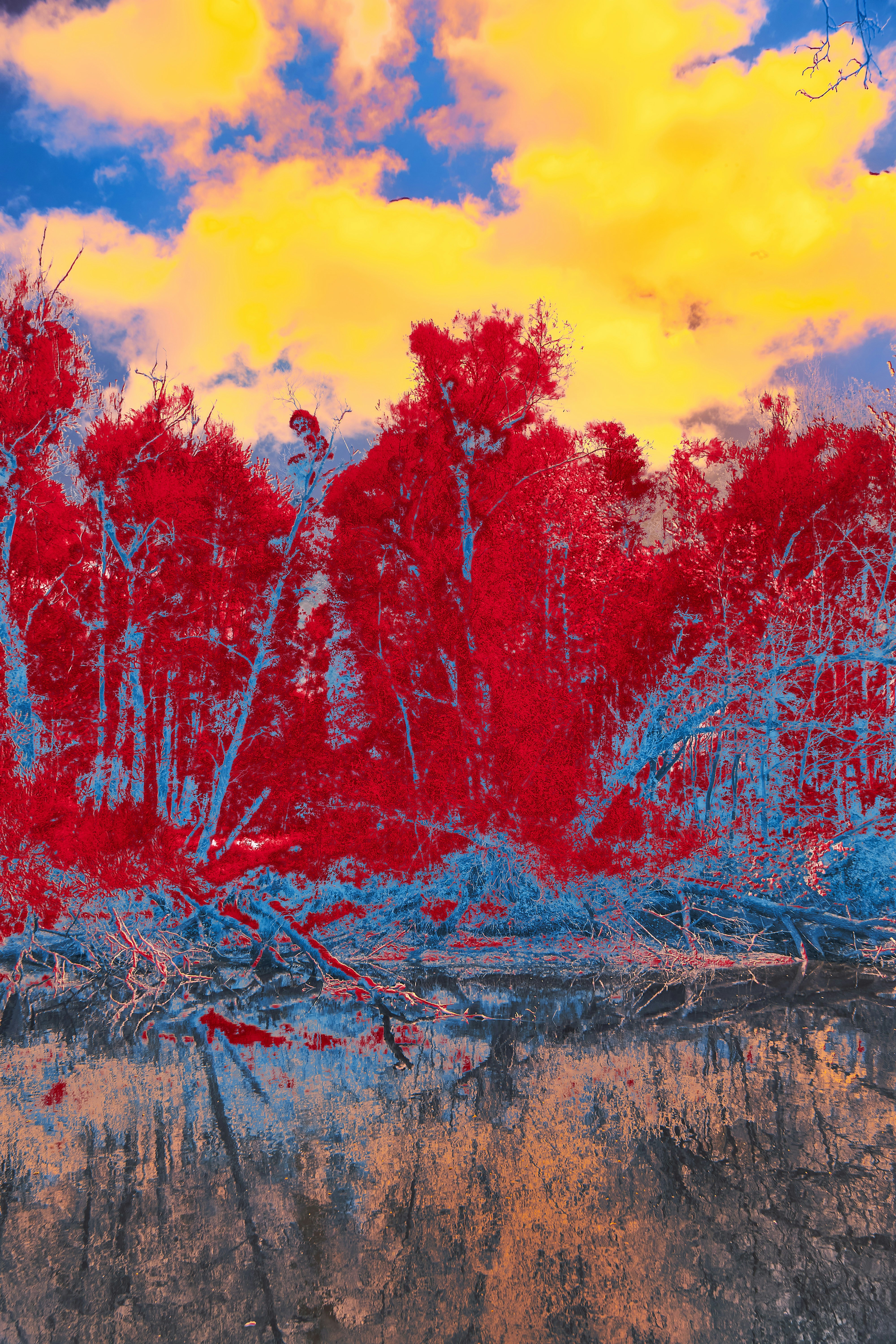 Photo by wolfgang_hasselmann