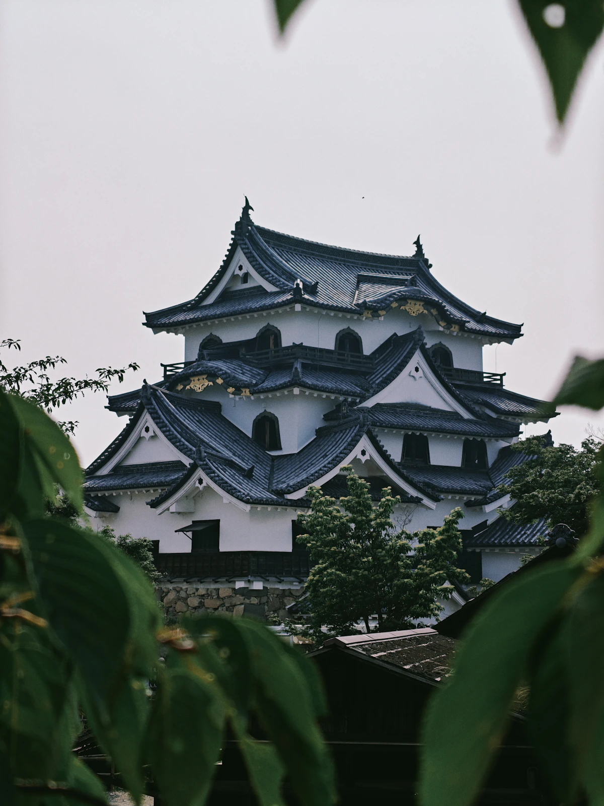 The national-treasure keep of Hikone Castle above its stone walls