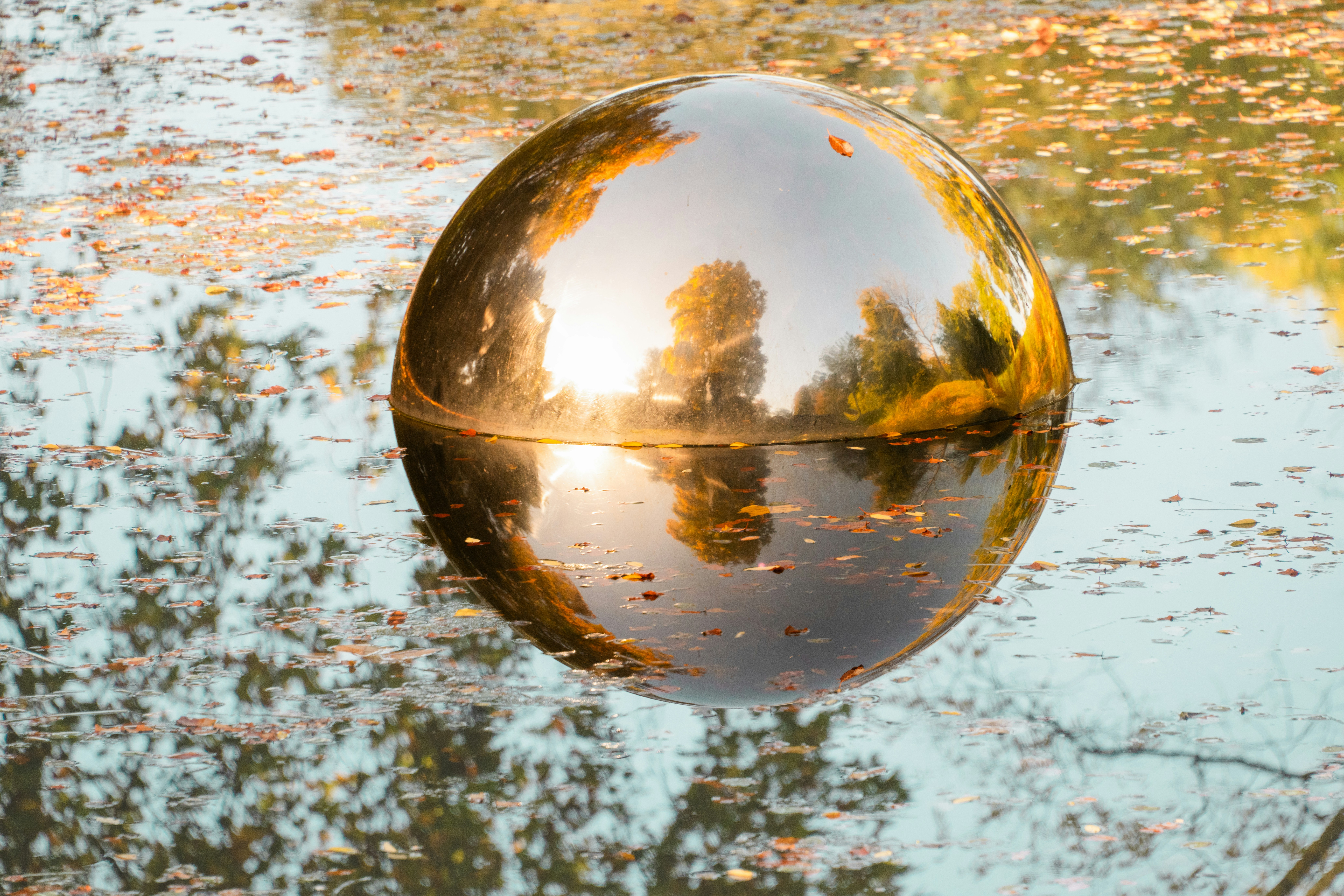 Photo by siegfriedpoepperl