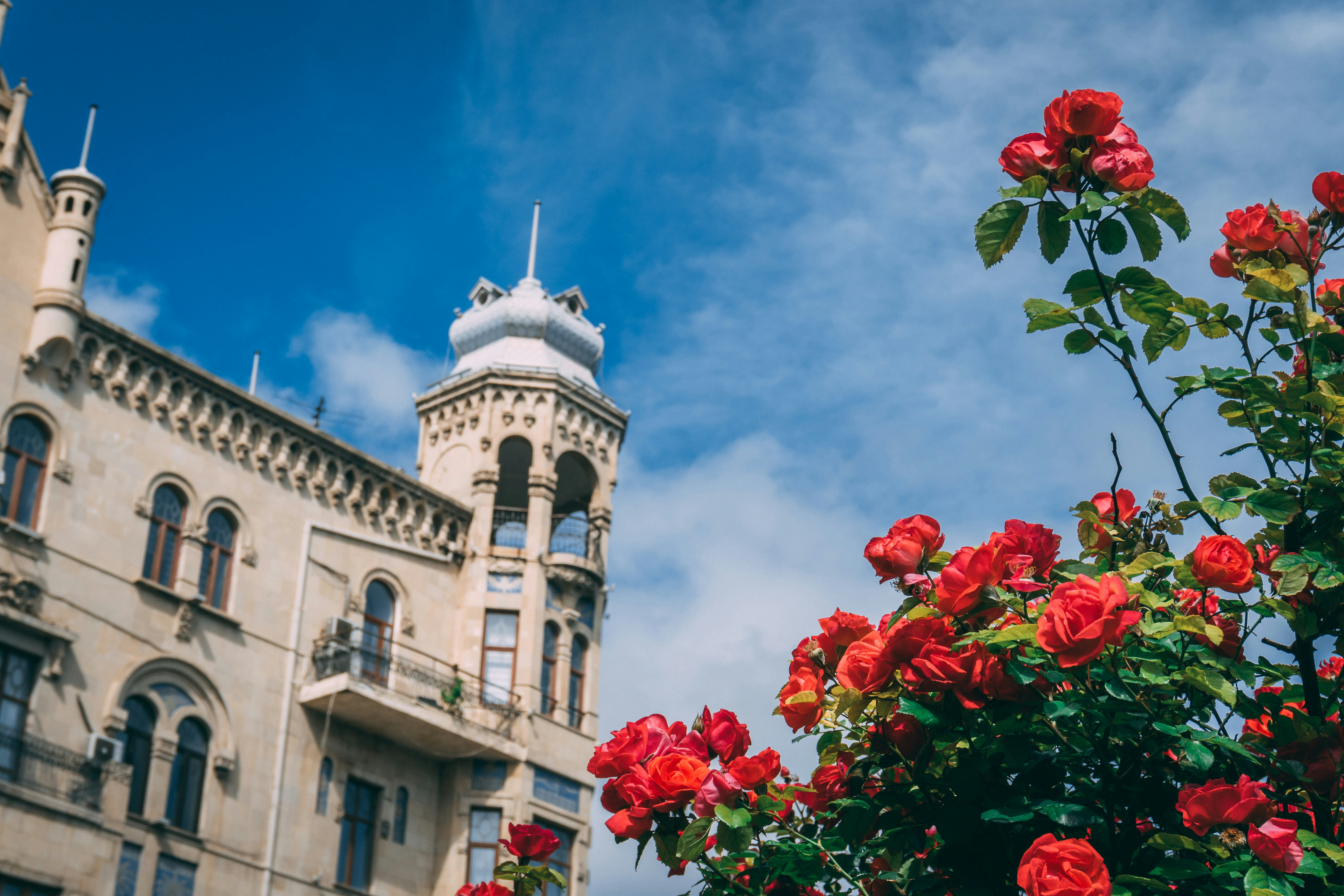 Photo by zulfugarkarimov