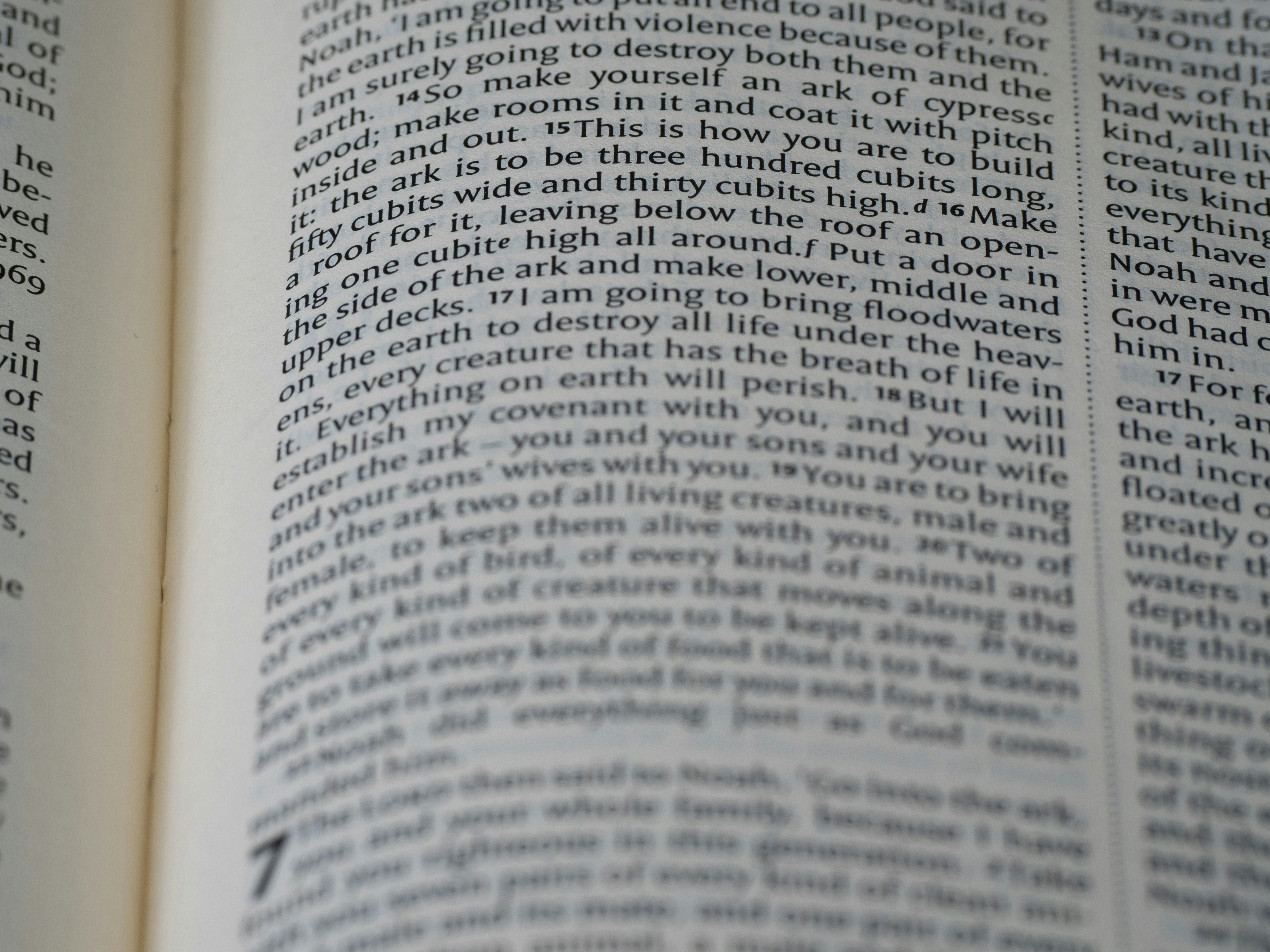 Photo by brett_jordan