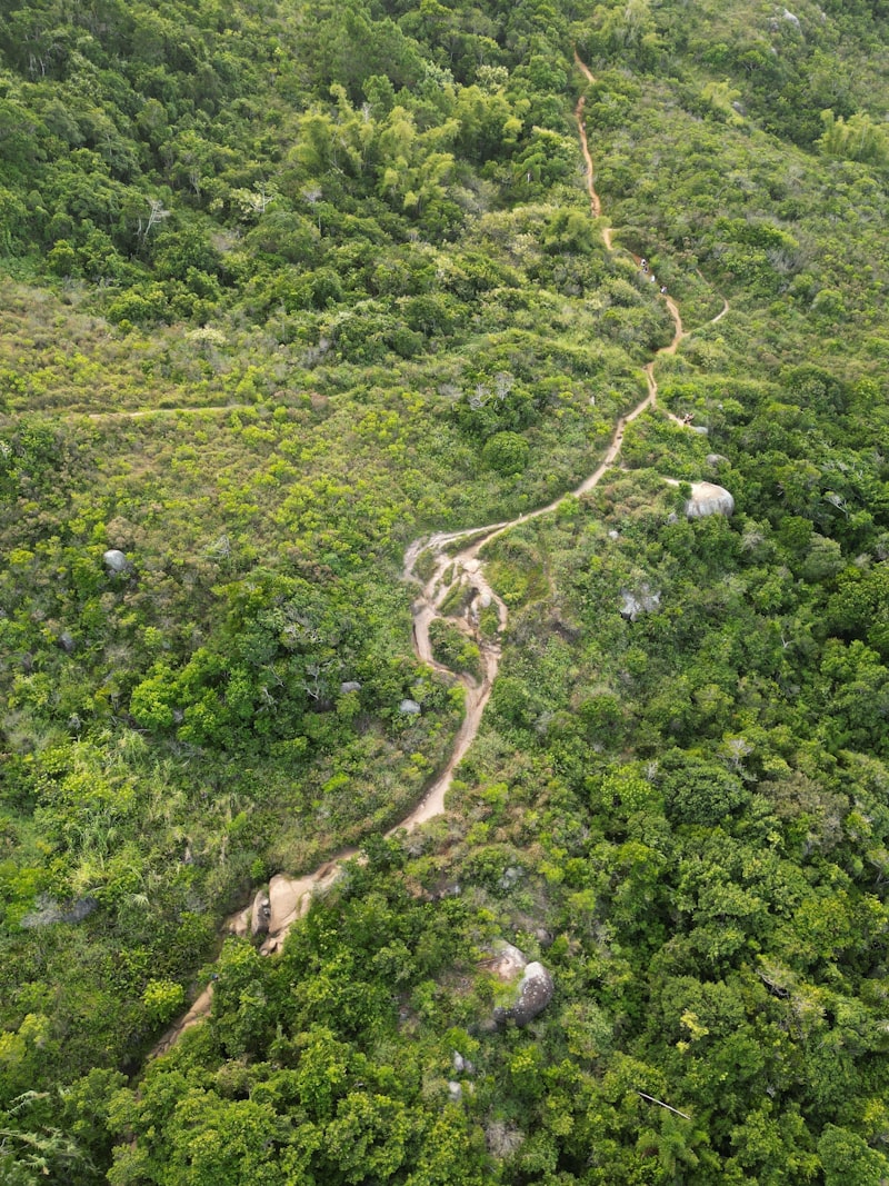 Wanderweg in einer grünen Berglandschaft