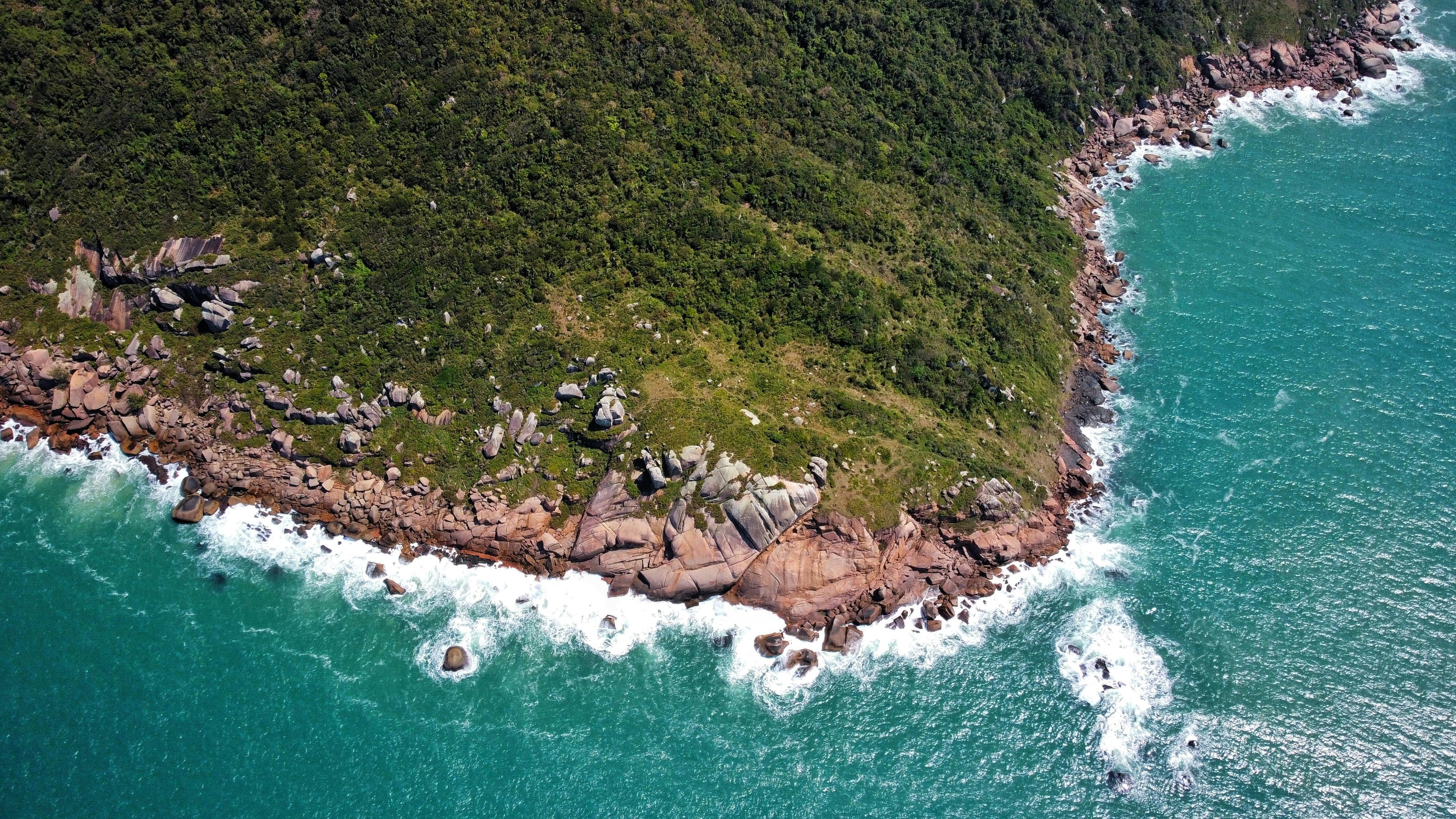 Green forested coastline with waves crashing on rocks