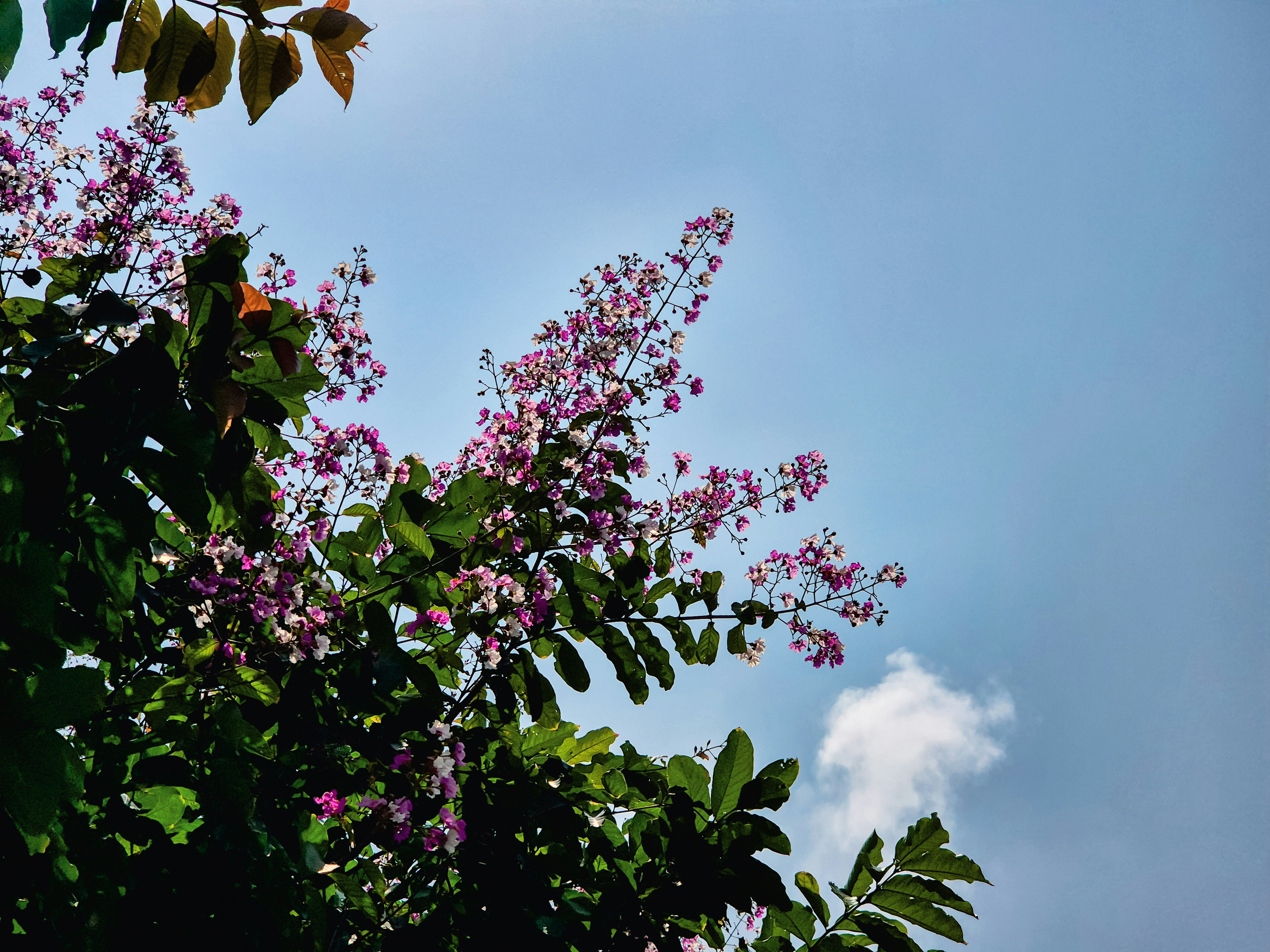 Photo by adhitya_2505