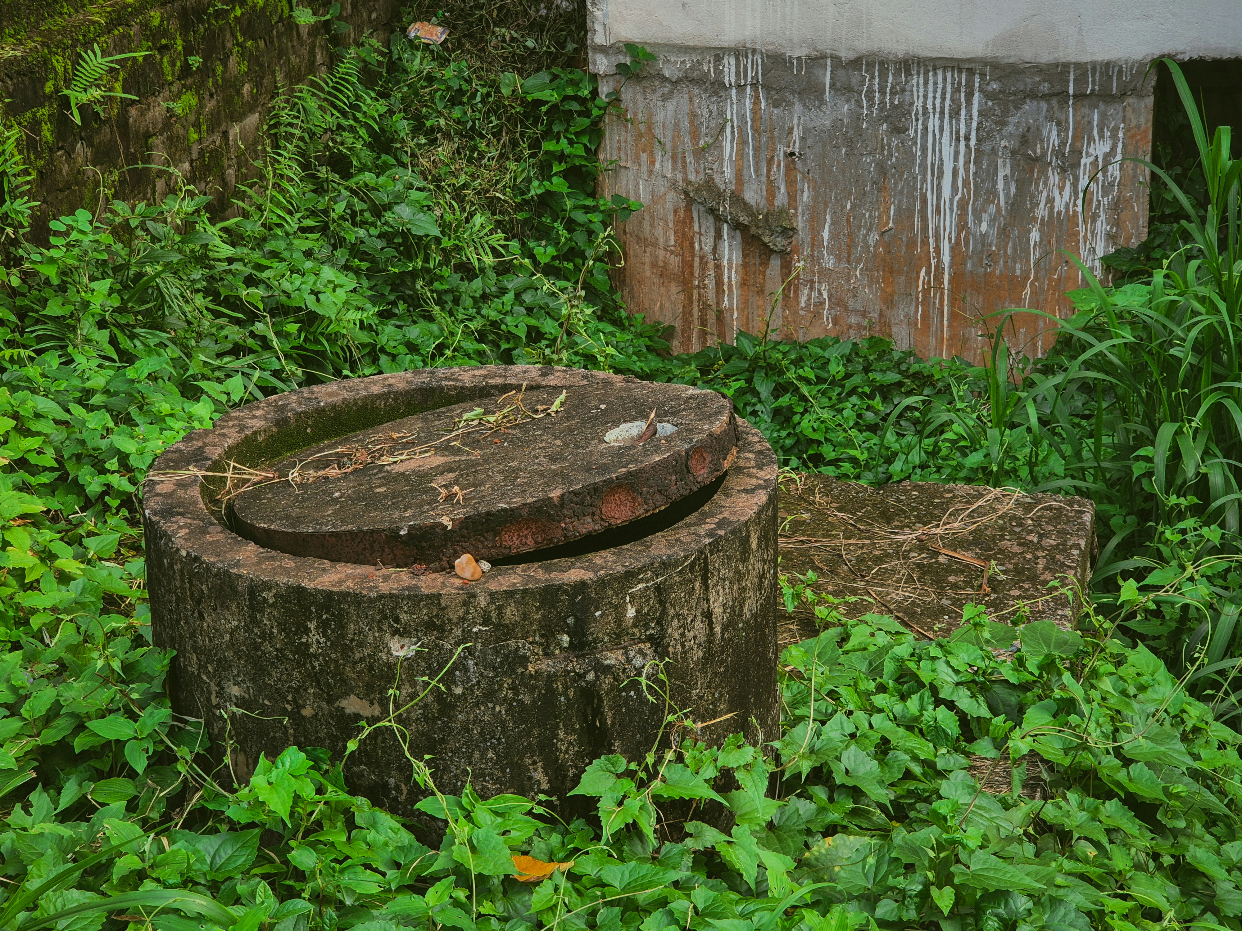 Photo by adhitya_2505