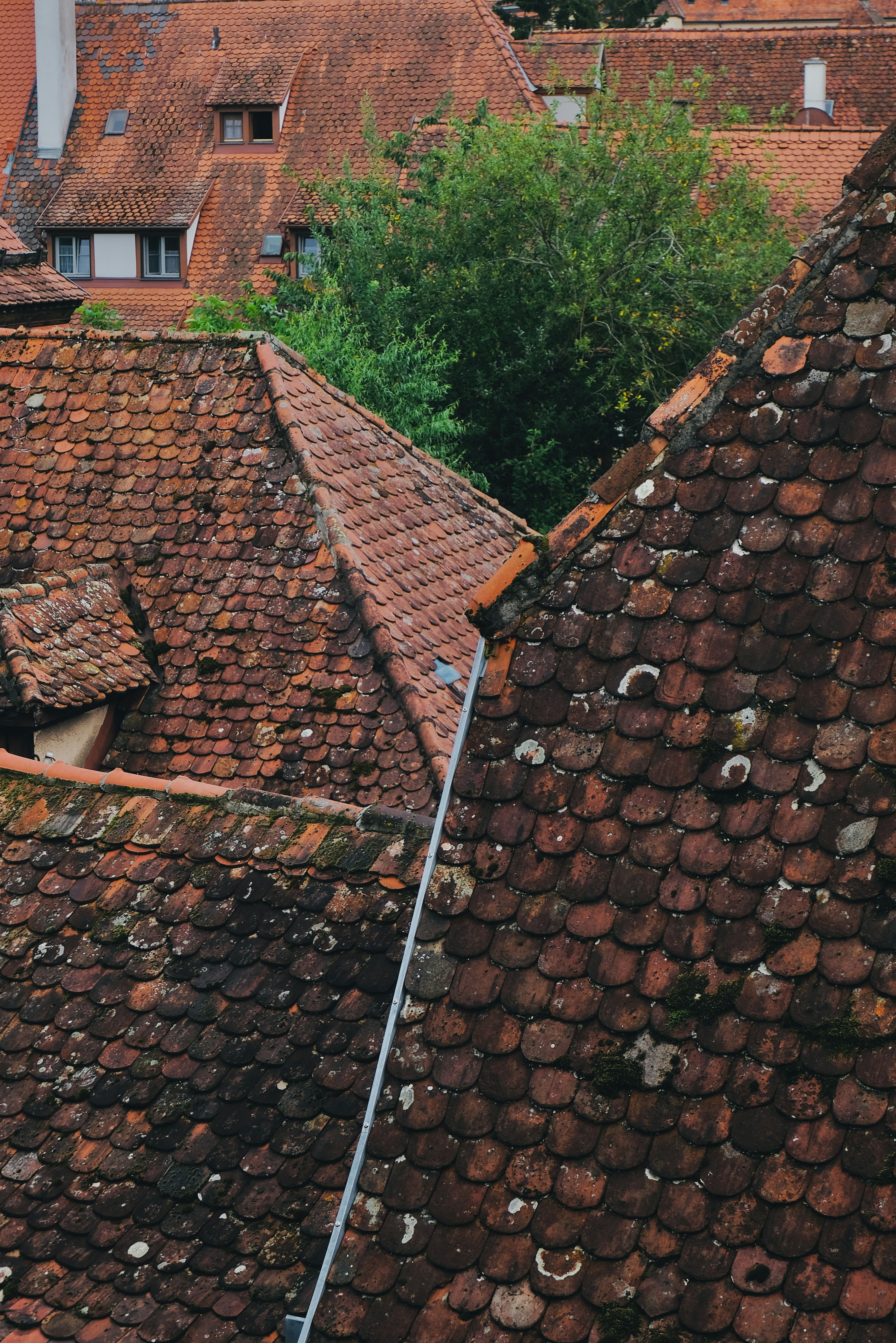 Old tiled rooftops with green trees in the background