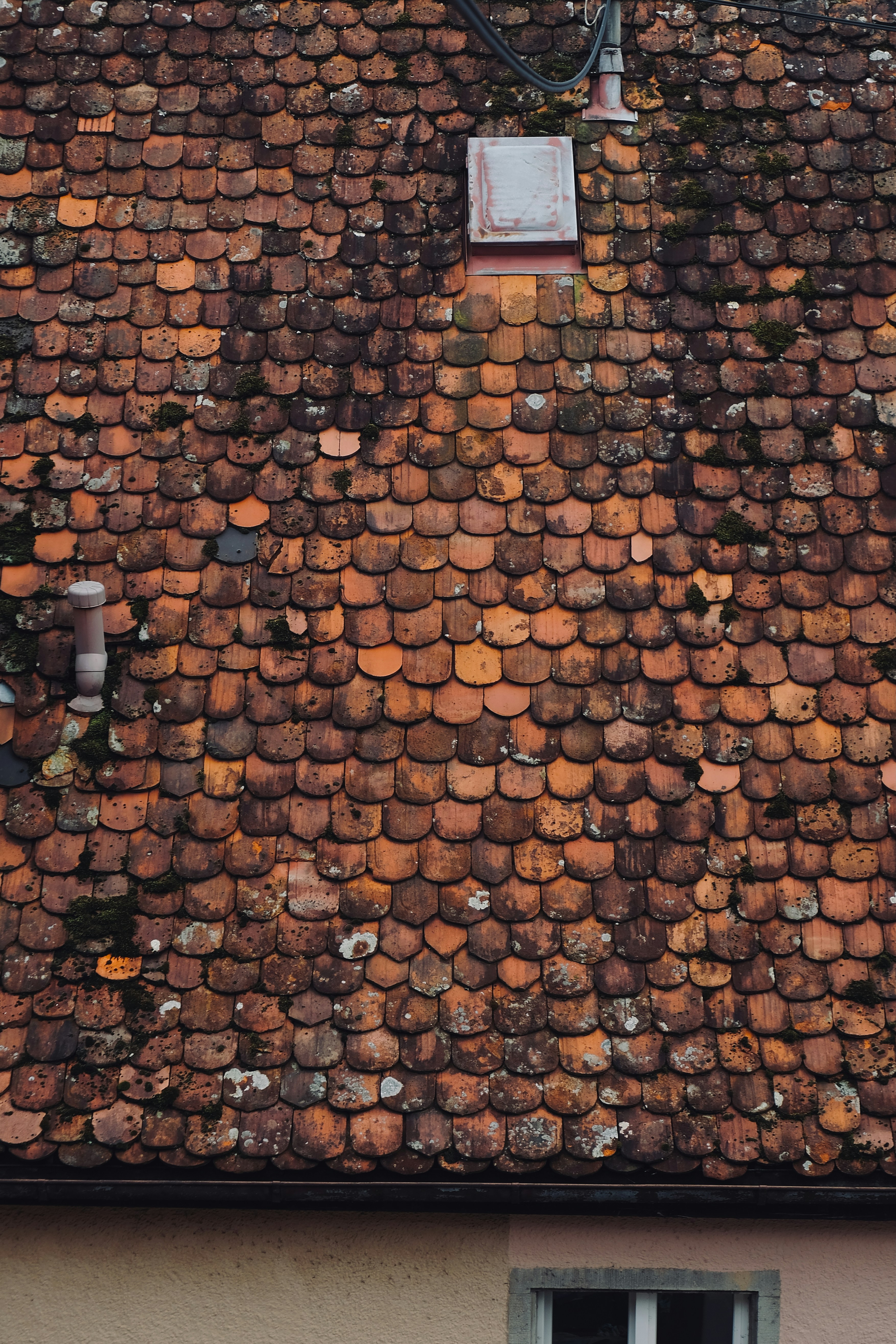 Photo by jonasgerlach