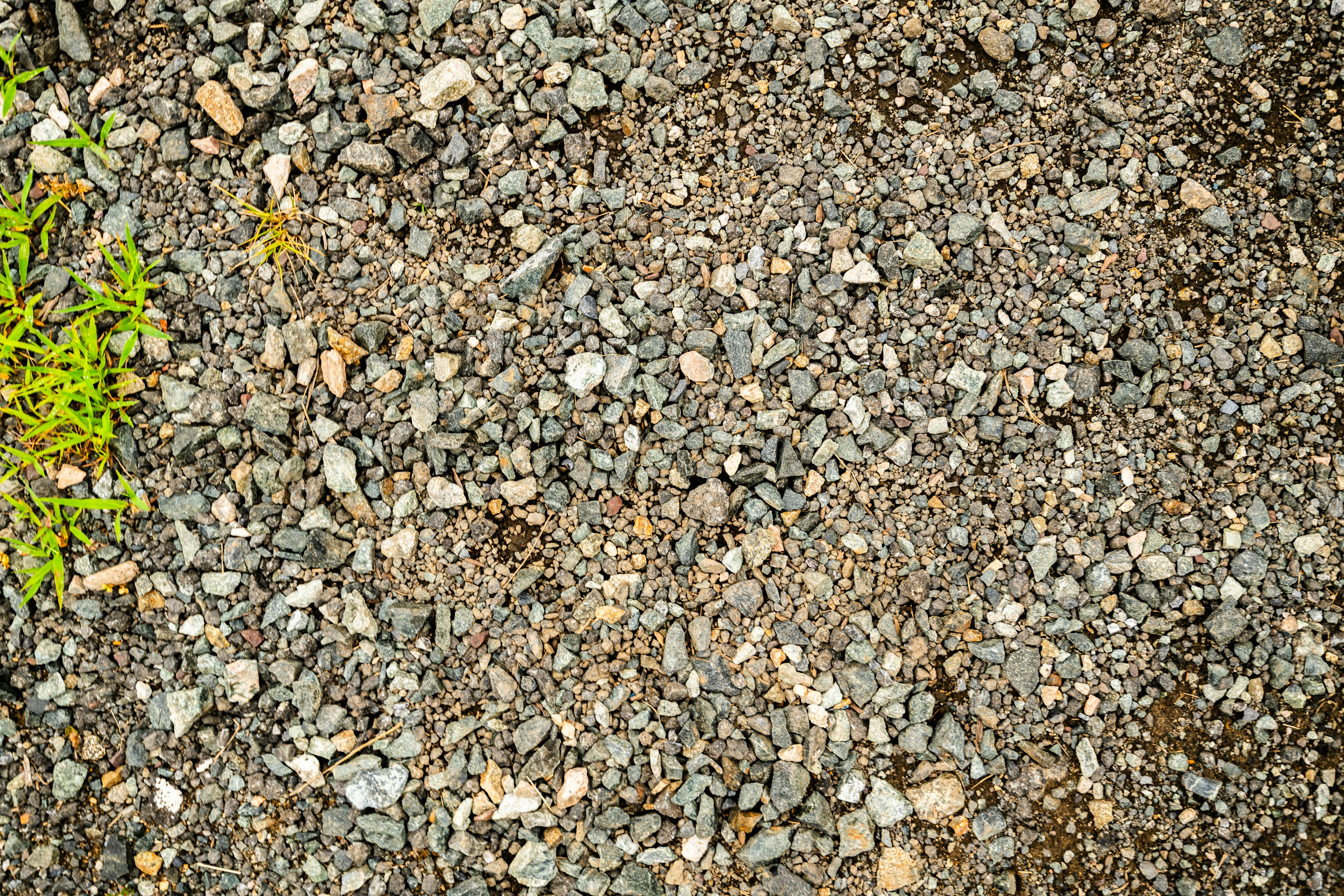 Photo by mattmoloney