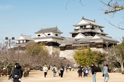 Japanese castle on a hill with people below