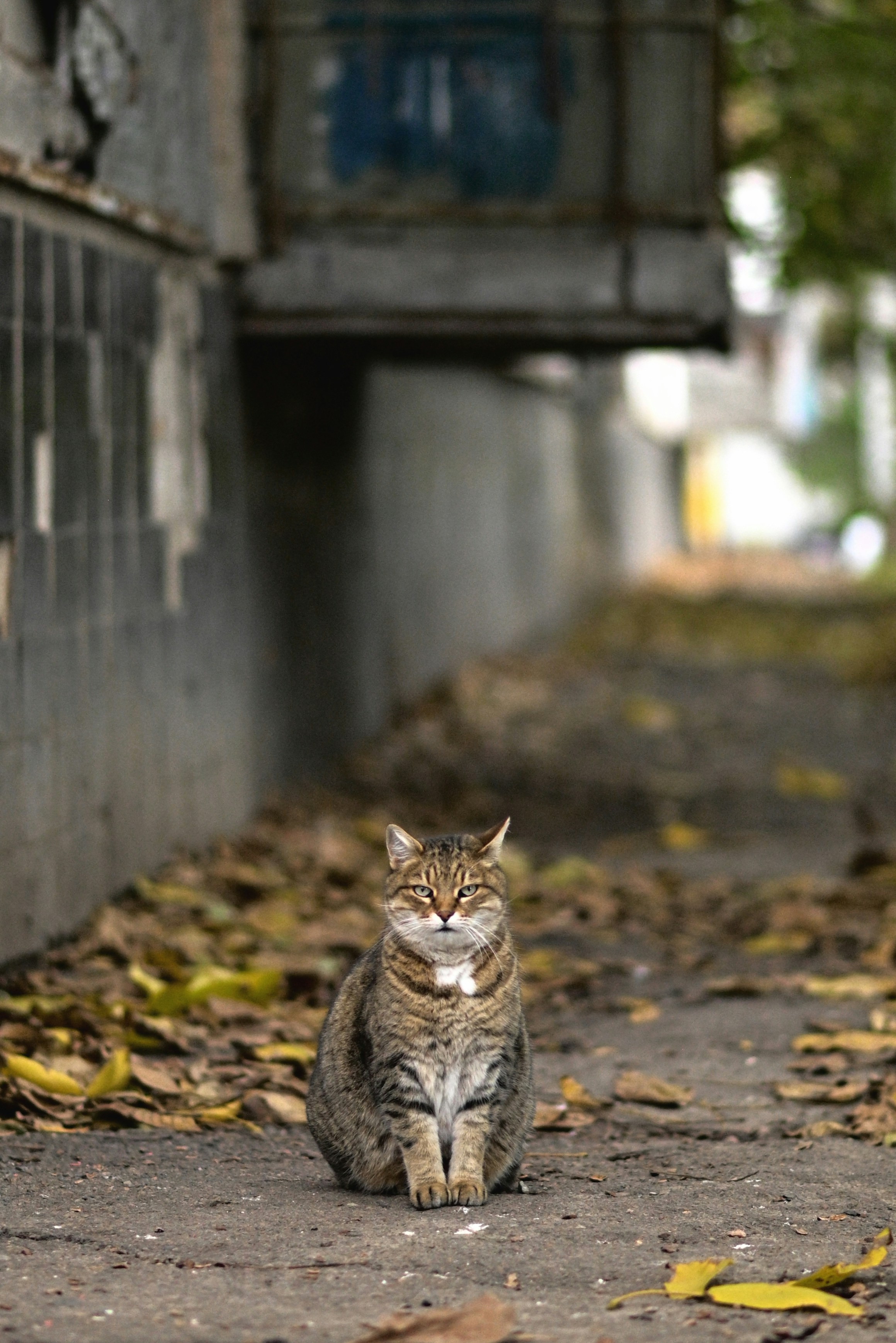 Photo by lvovandrewph