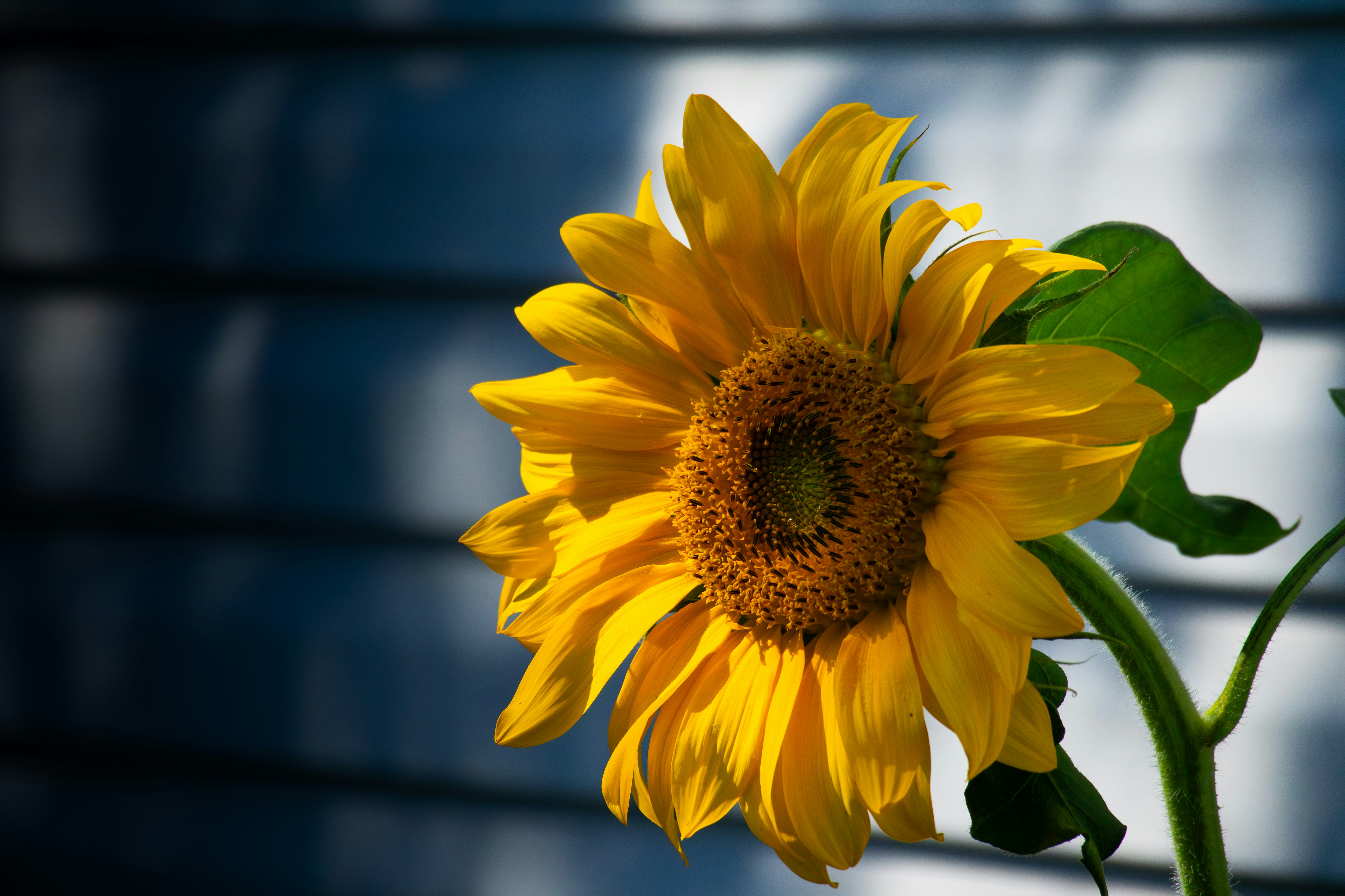 Photo by ucwhphotography