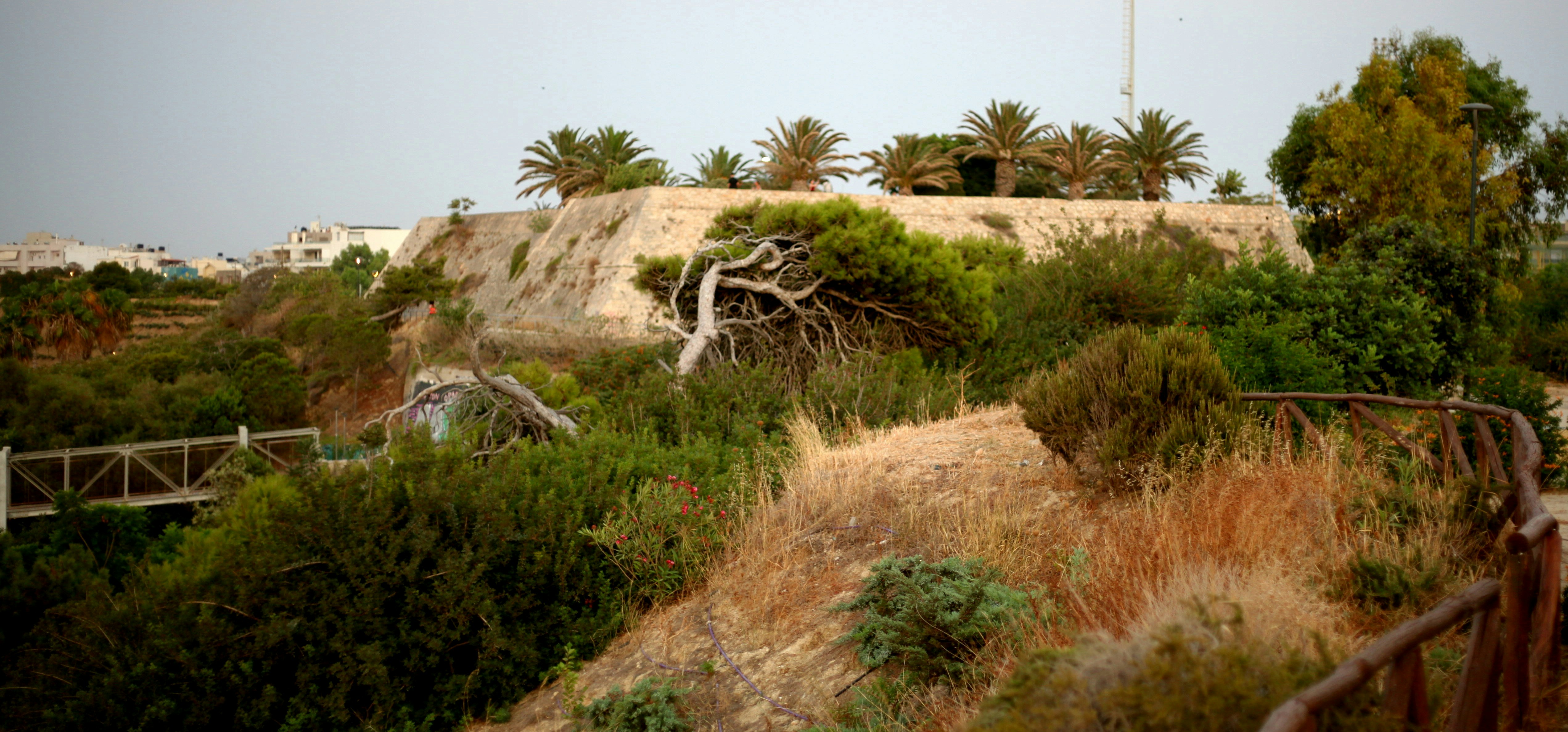 Hillside with green foliage and distant buildings.
