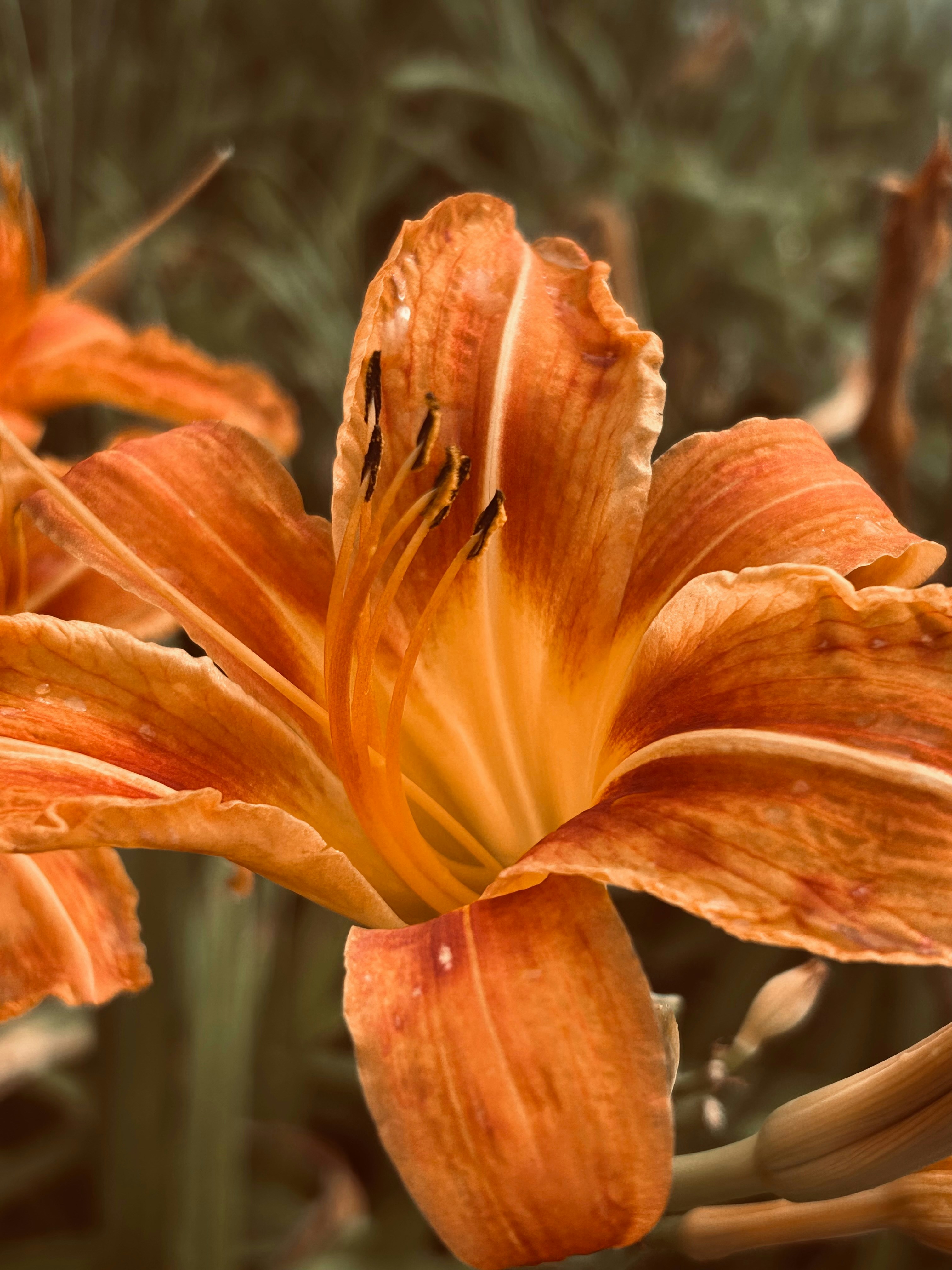 Photo by briestranquil