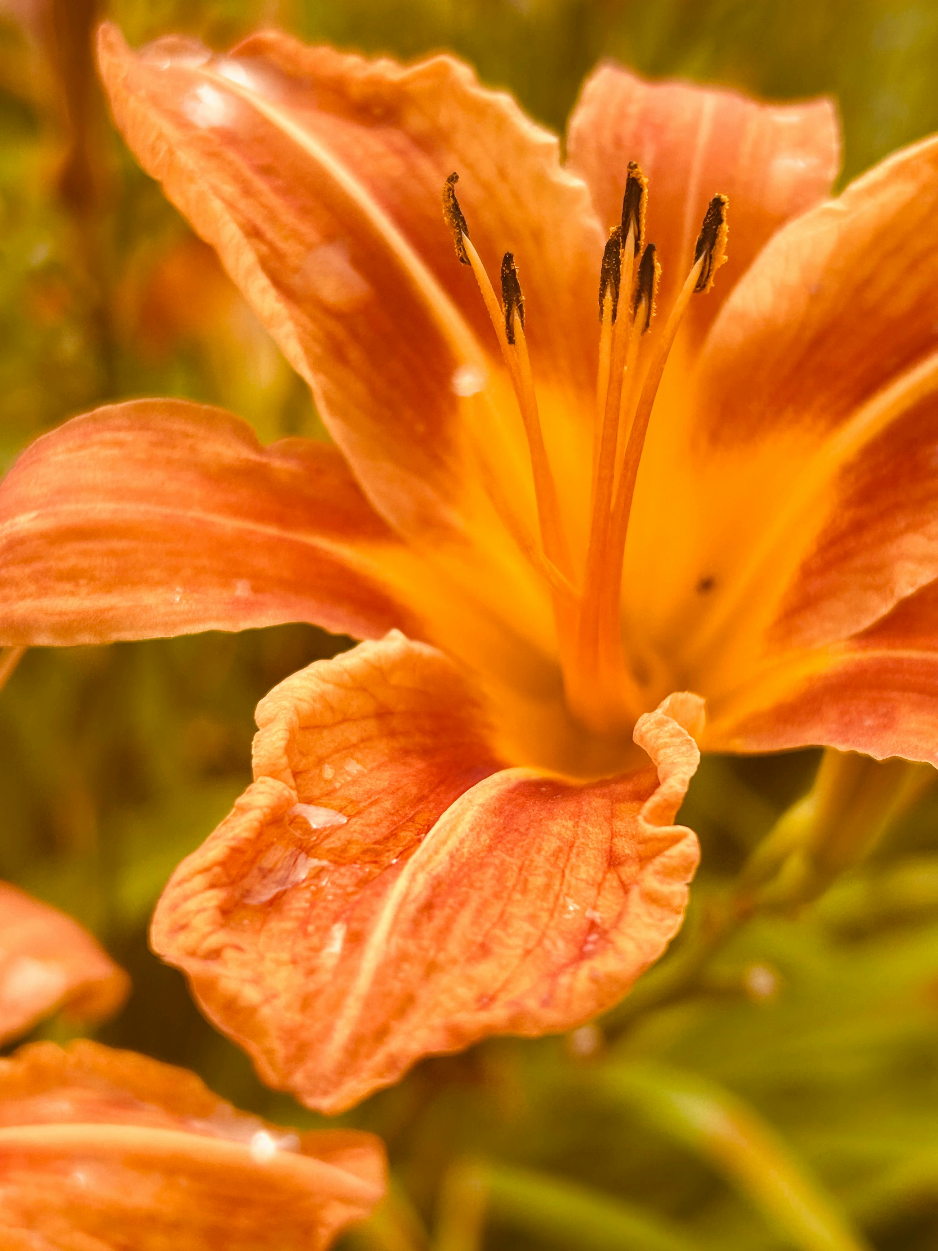 Photo by briestranquil