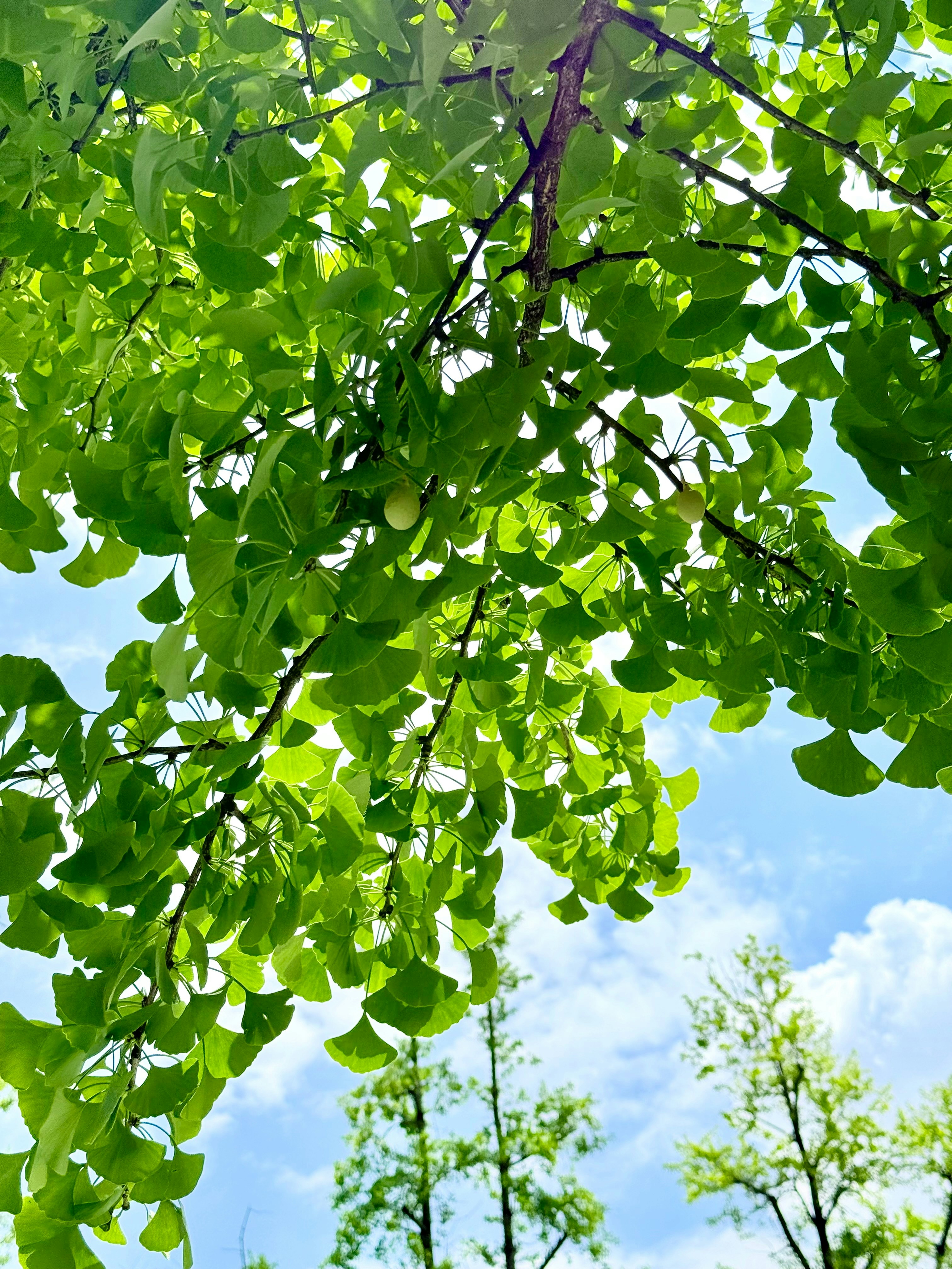 Photo by sam20148381