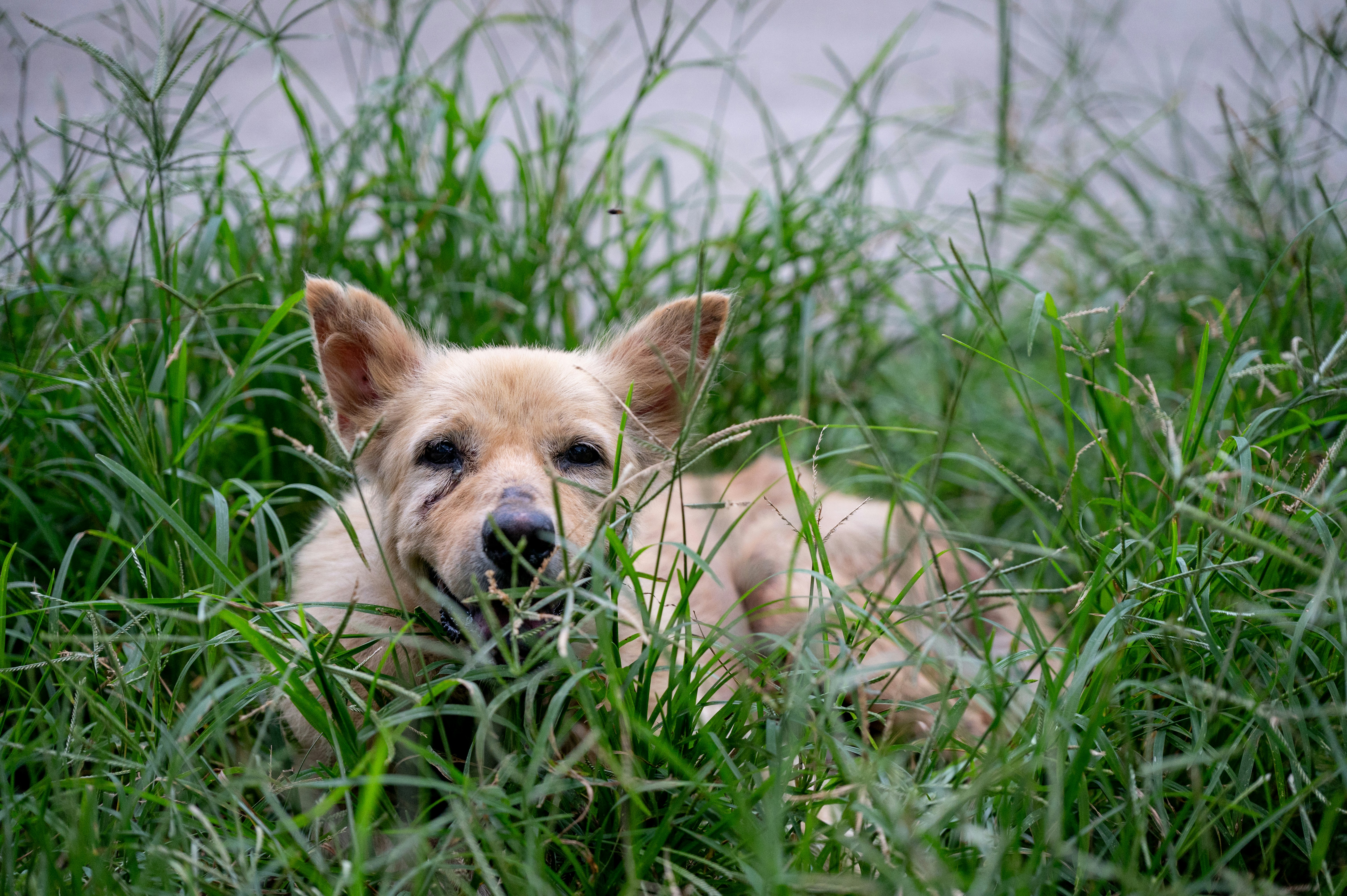 Photo by turquocabbit