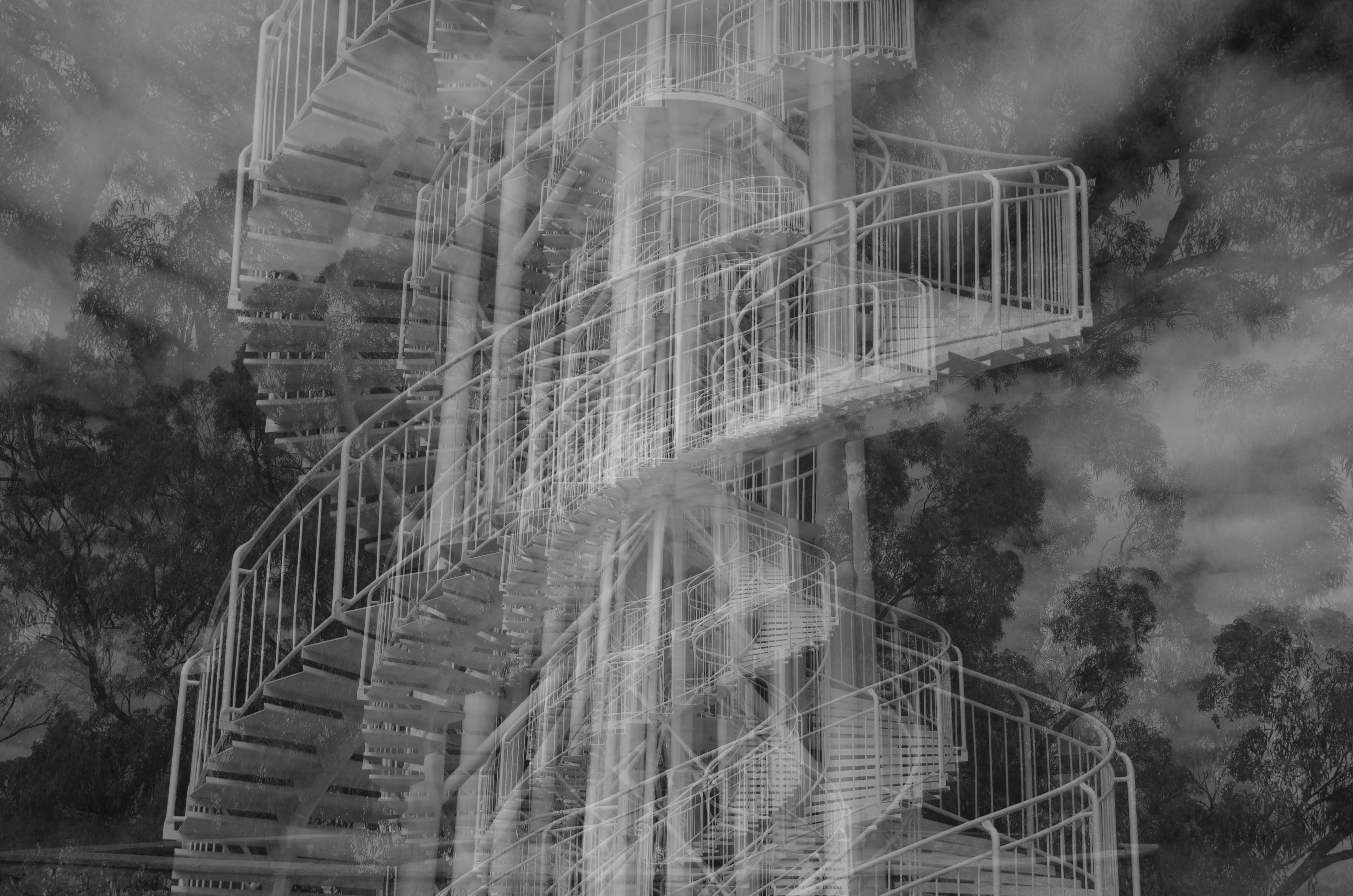 Photo by photoken123