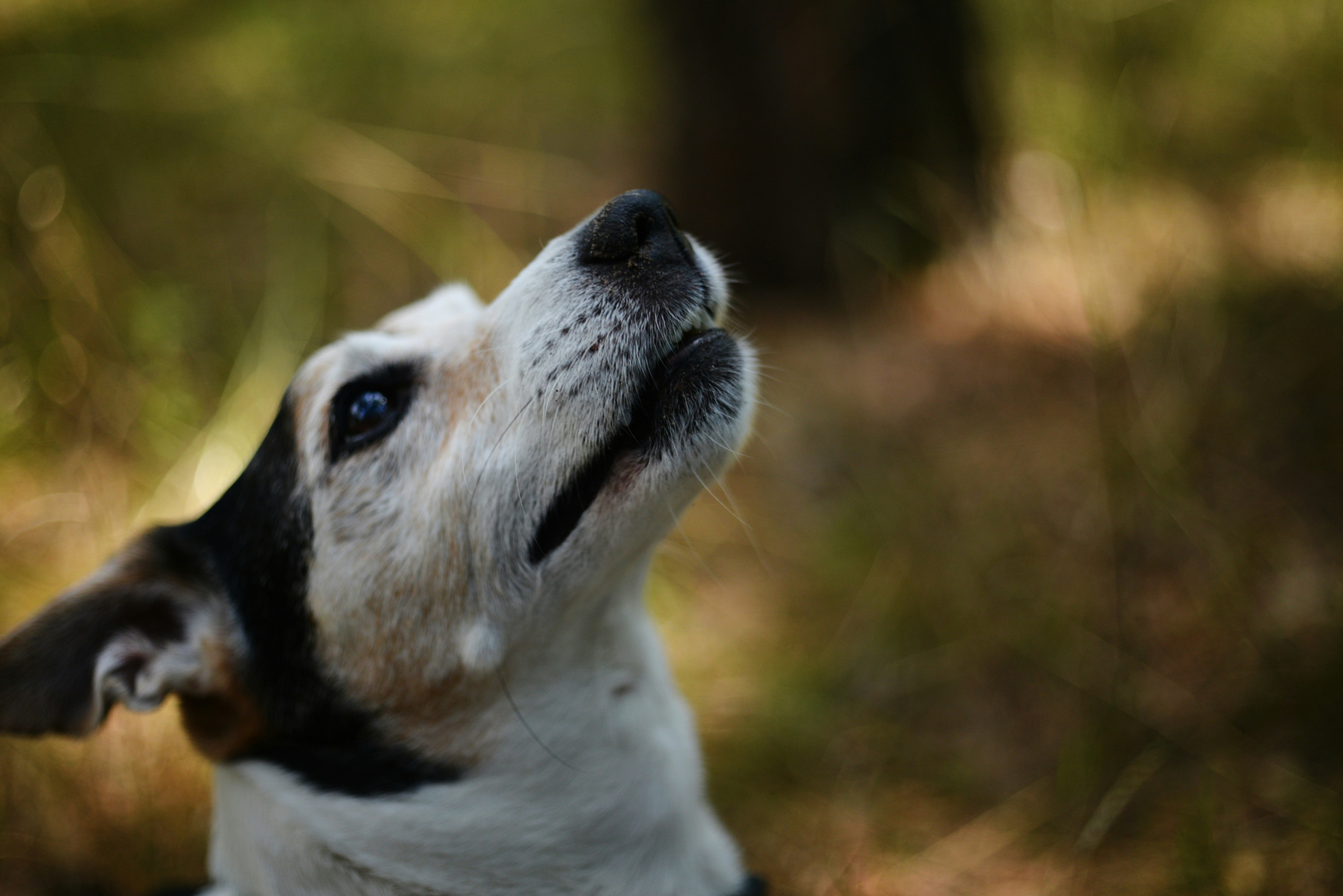 Photo by cherstve_pechivo