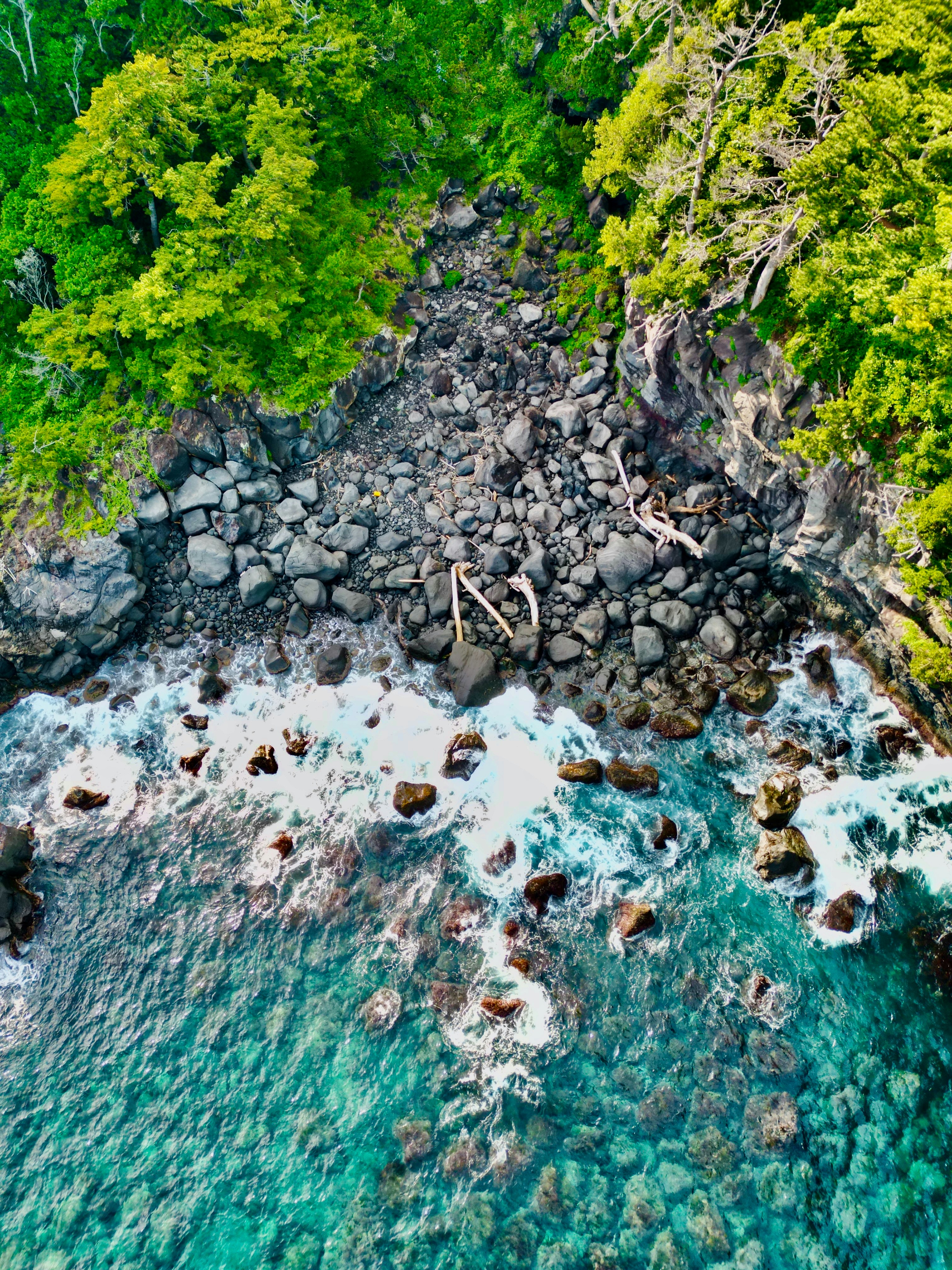 Photo by pandabeyond