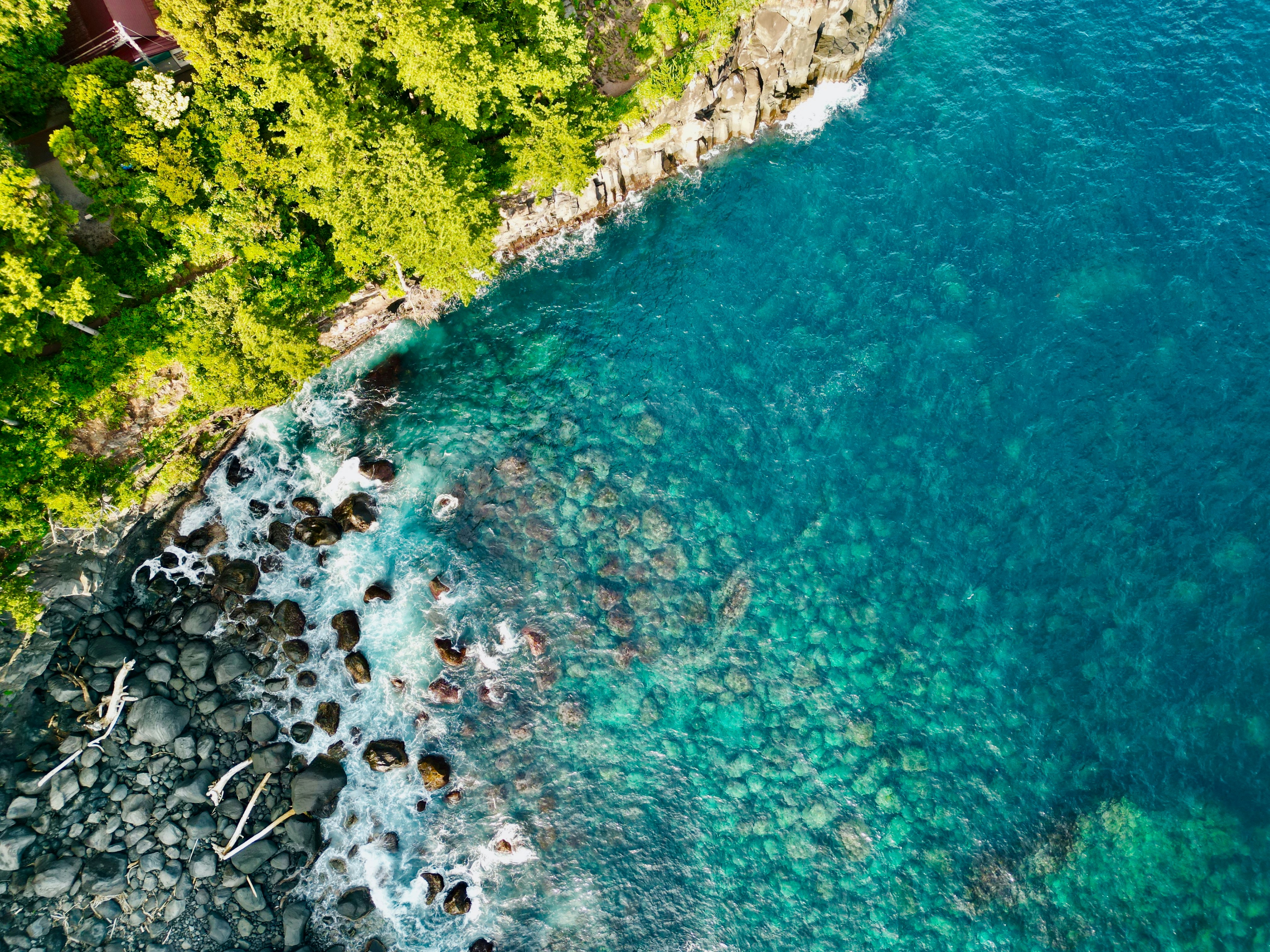 Photo by pandabeyond