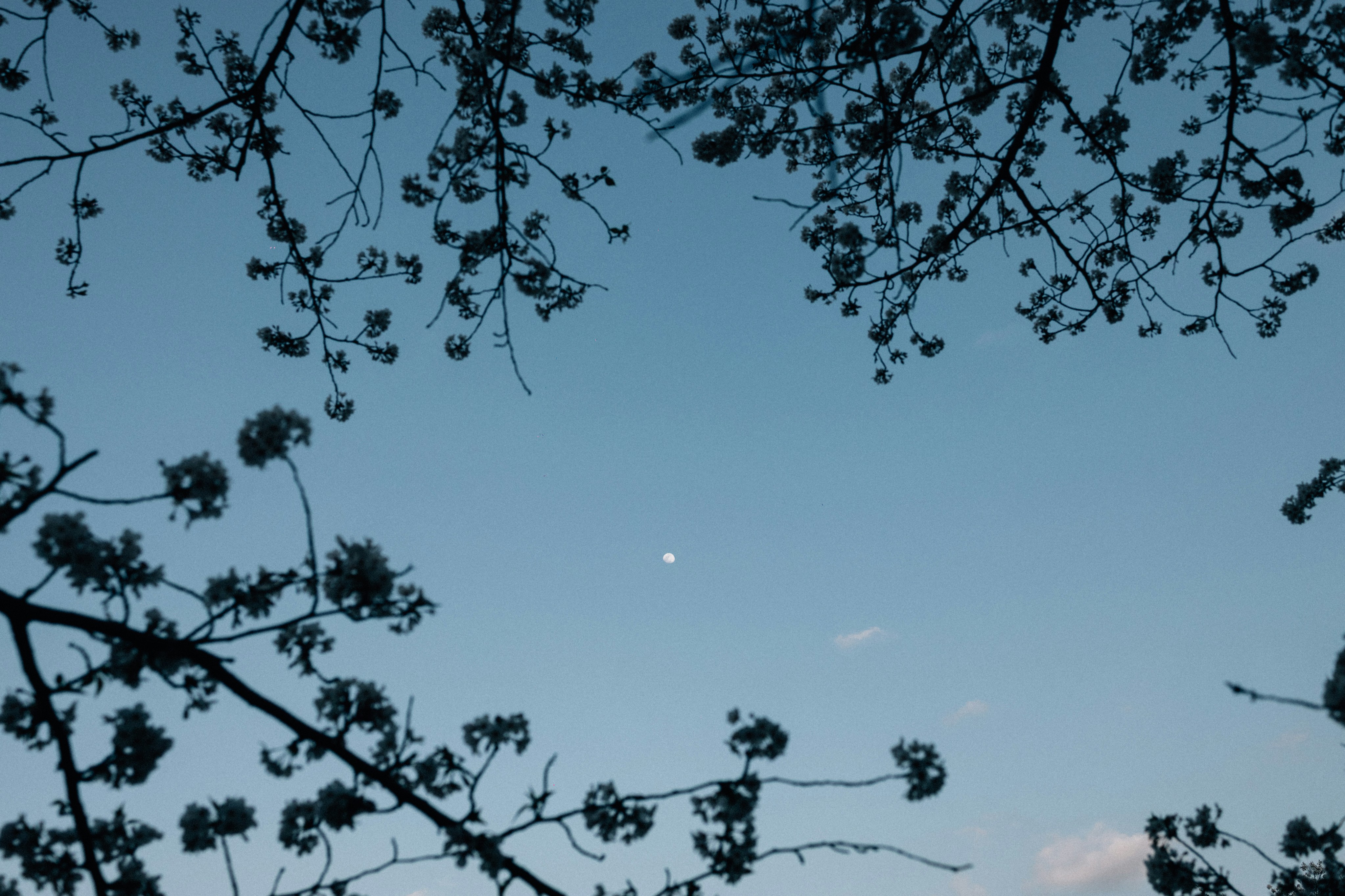 Photo by tsuyoshikozu