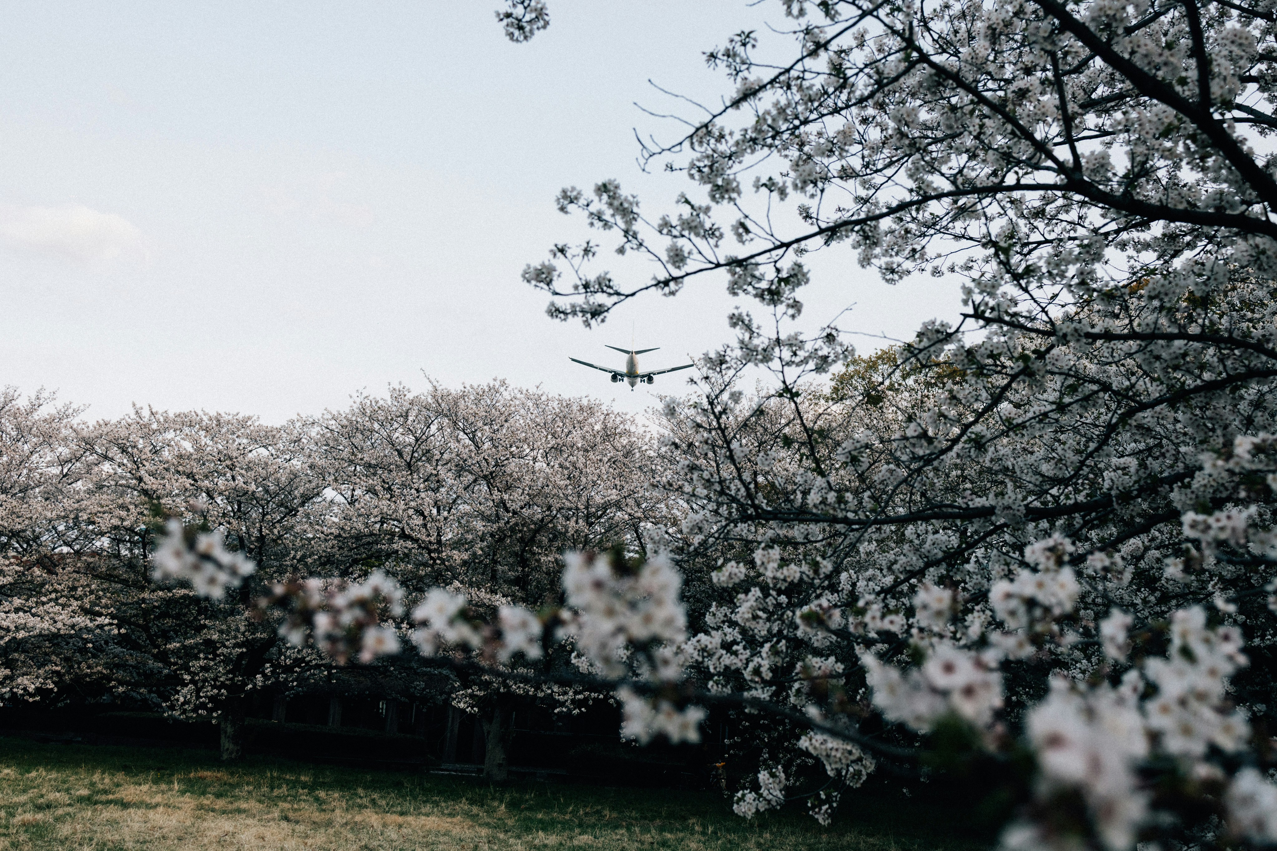 Photo by tsuyoshikozu