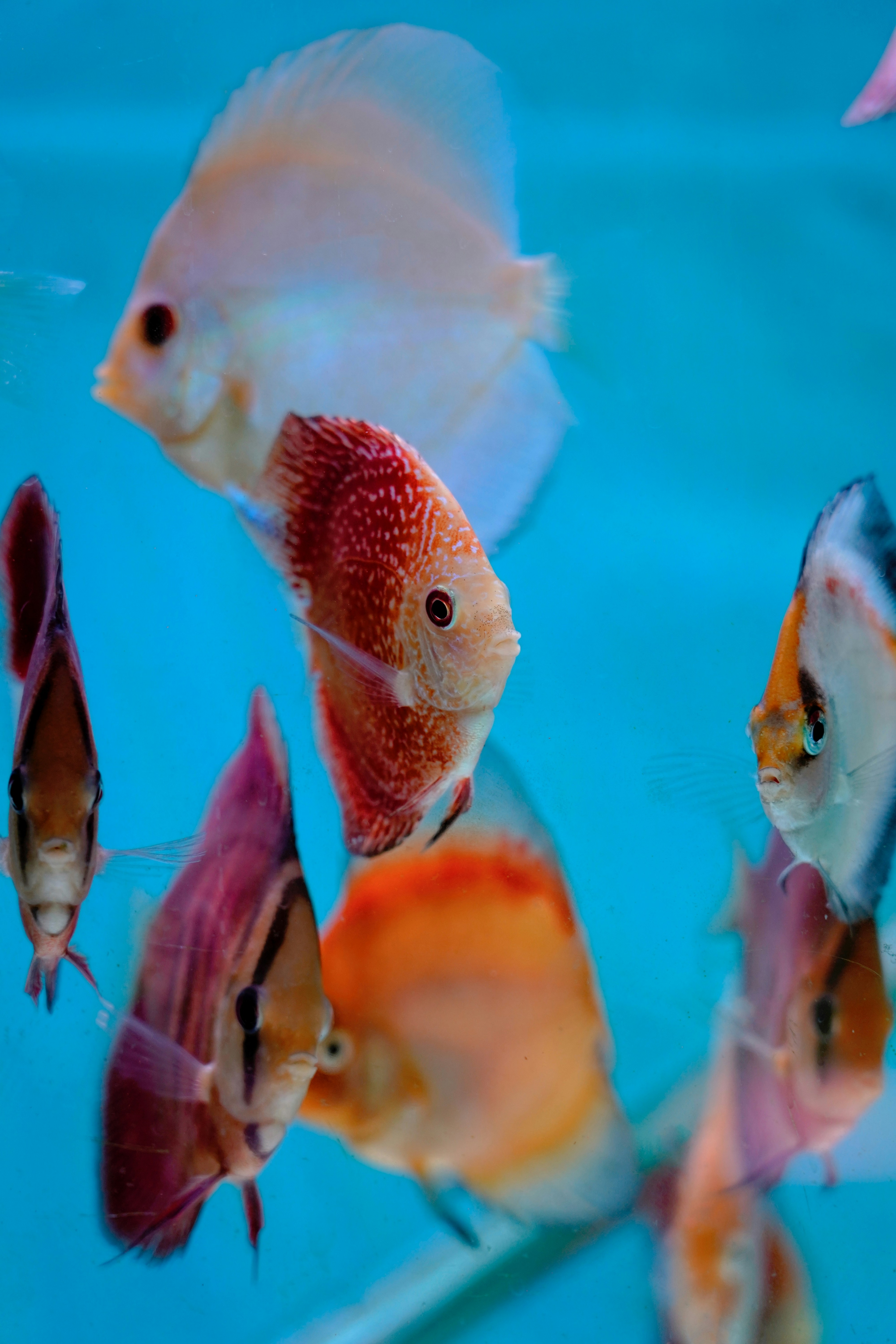 Photo by borisizmaylov