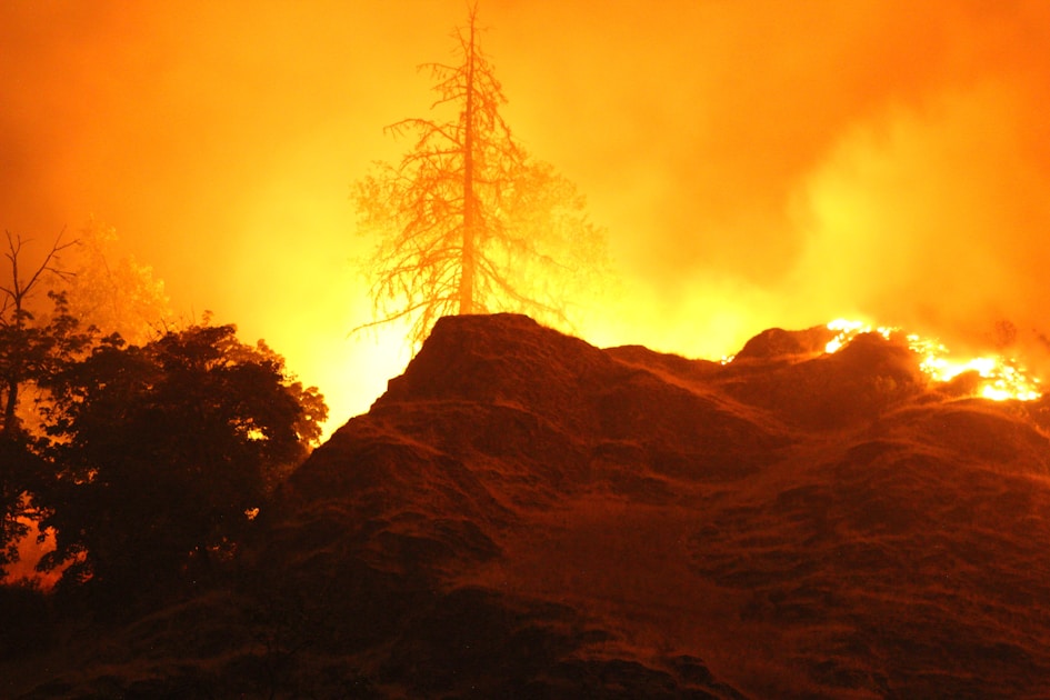 Oregon Wildfire Verdict Reversal: What Your Reaction Reveals About Your Justice Personality