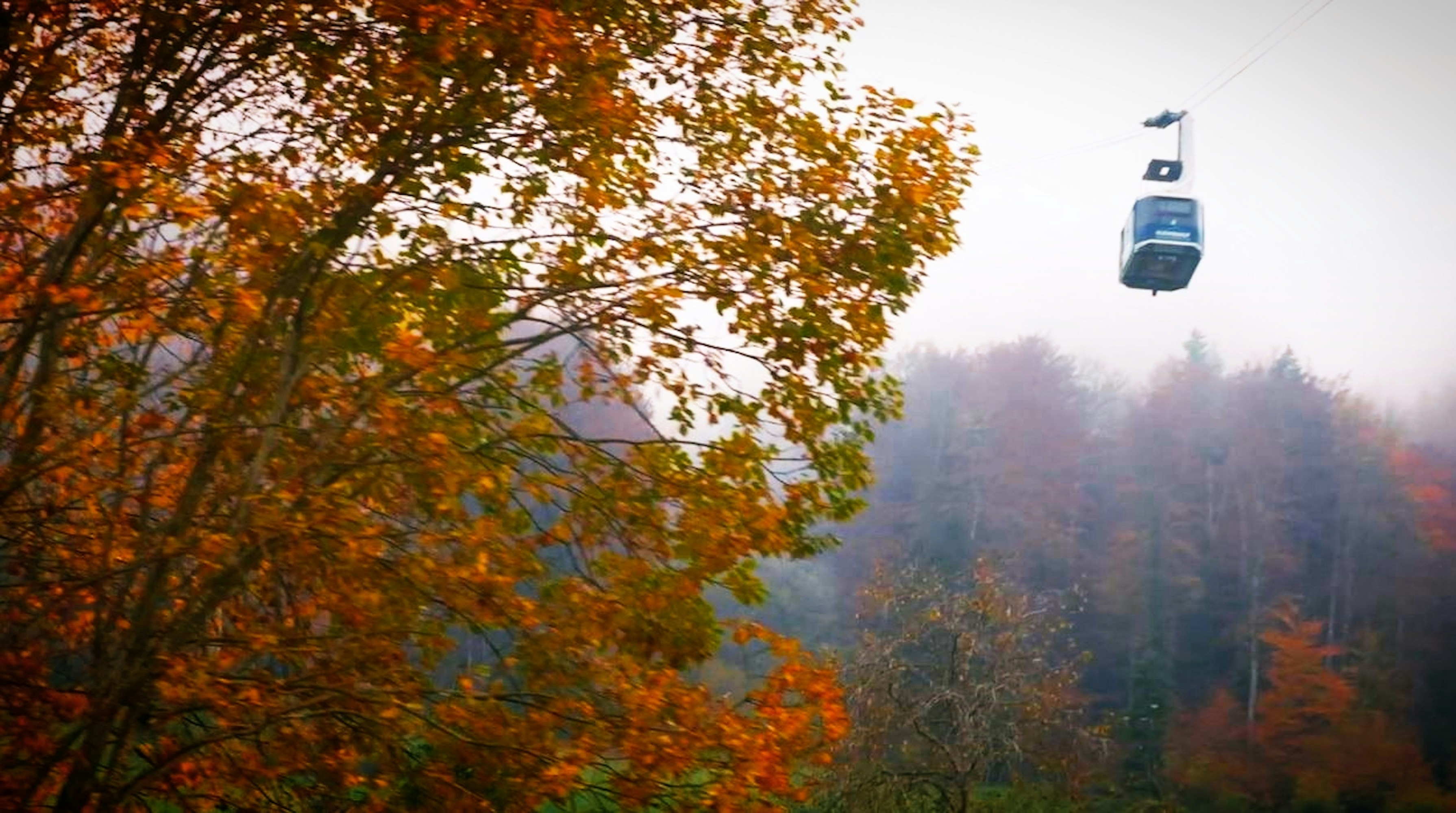 Cable car moving through autumn trees with fog