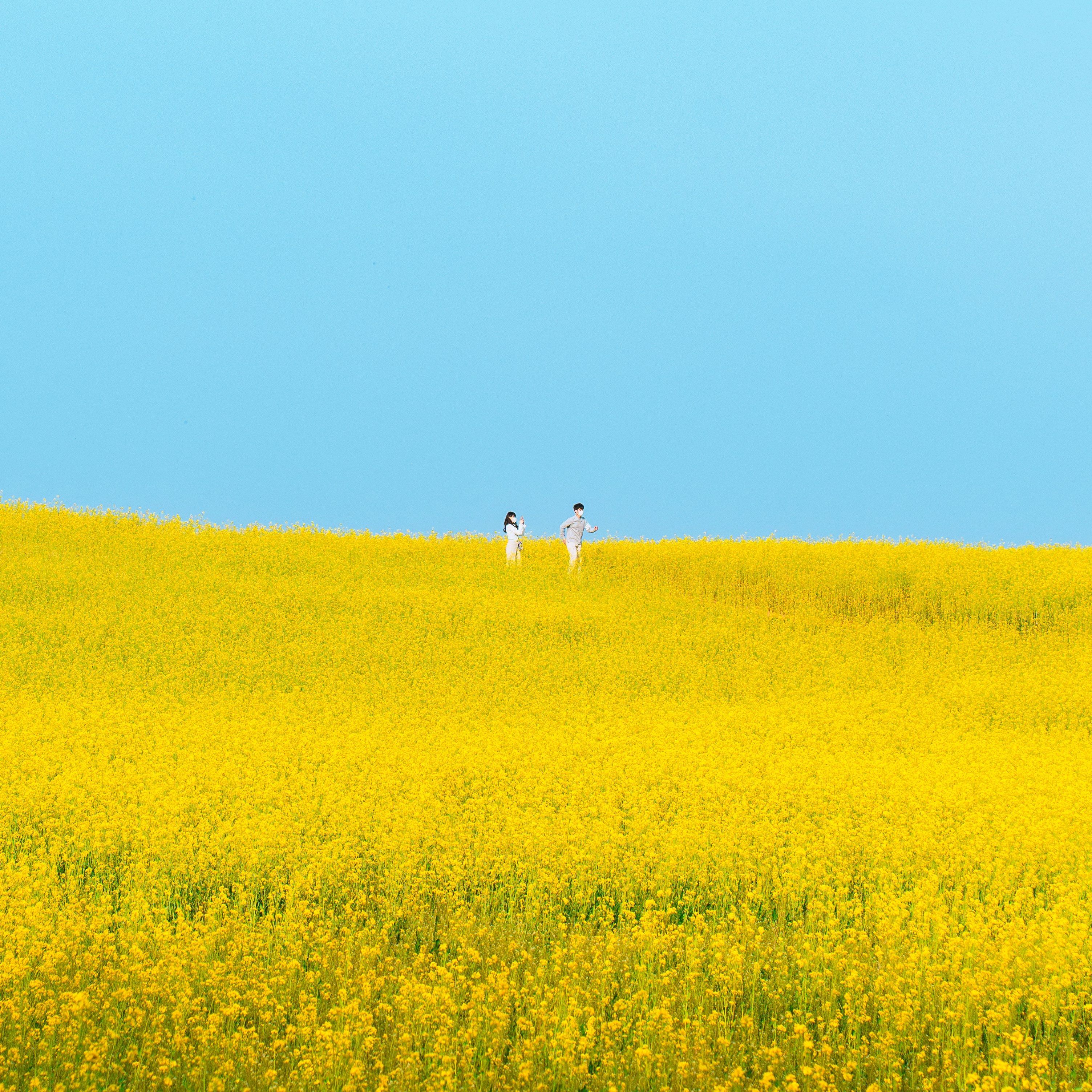 親愛的陌生人 - 希望在未來的人生可以隨心所欲。