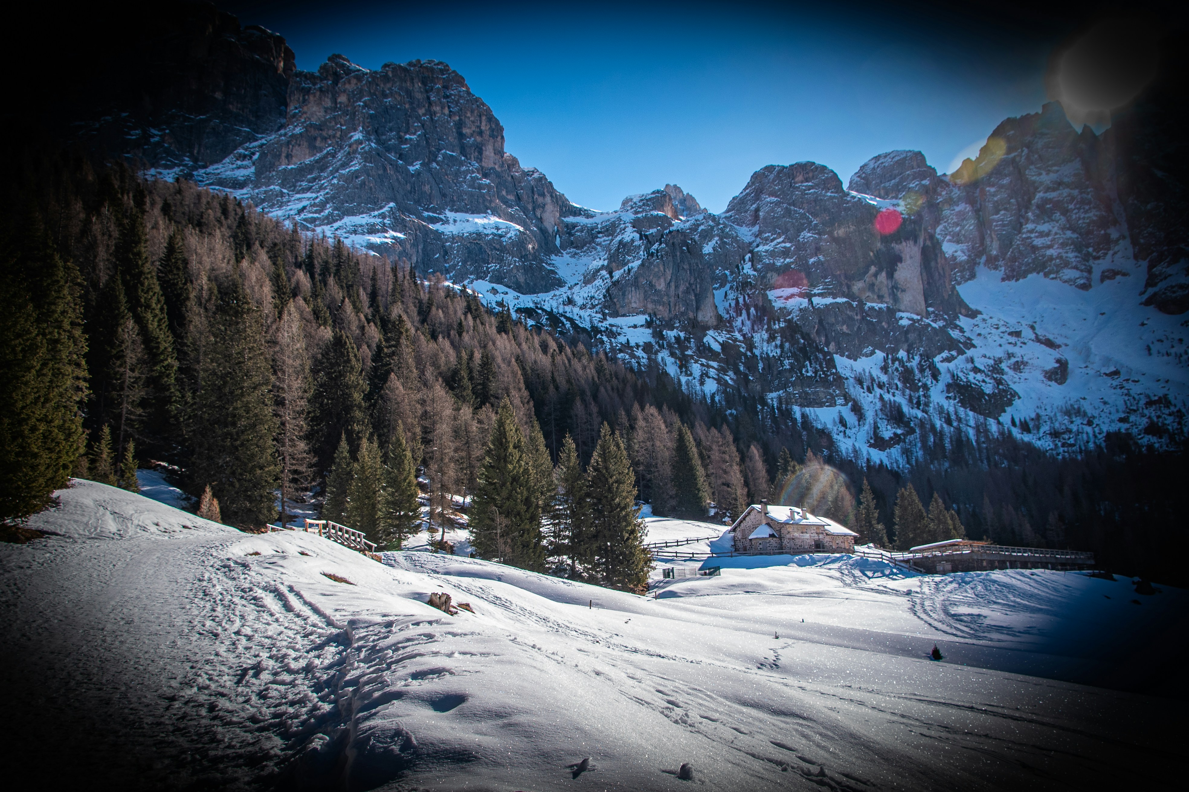 Snowy mountain landscape with pine trees and cabin