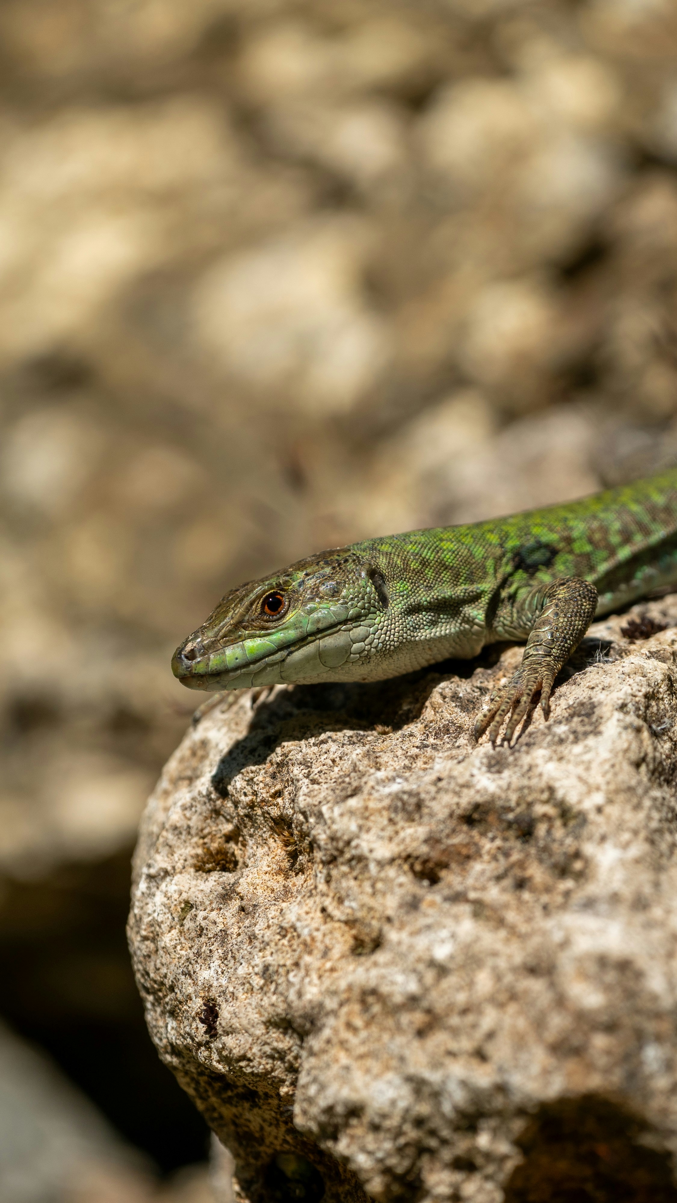 Photo by fatihsimsek