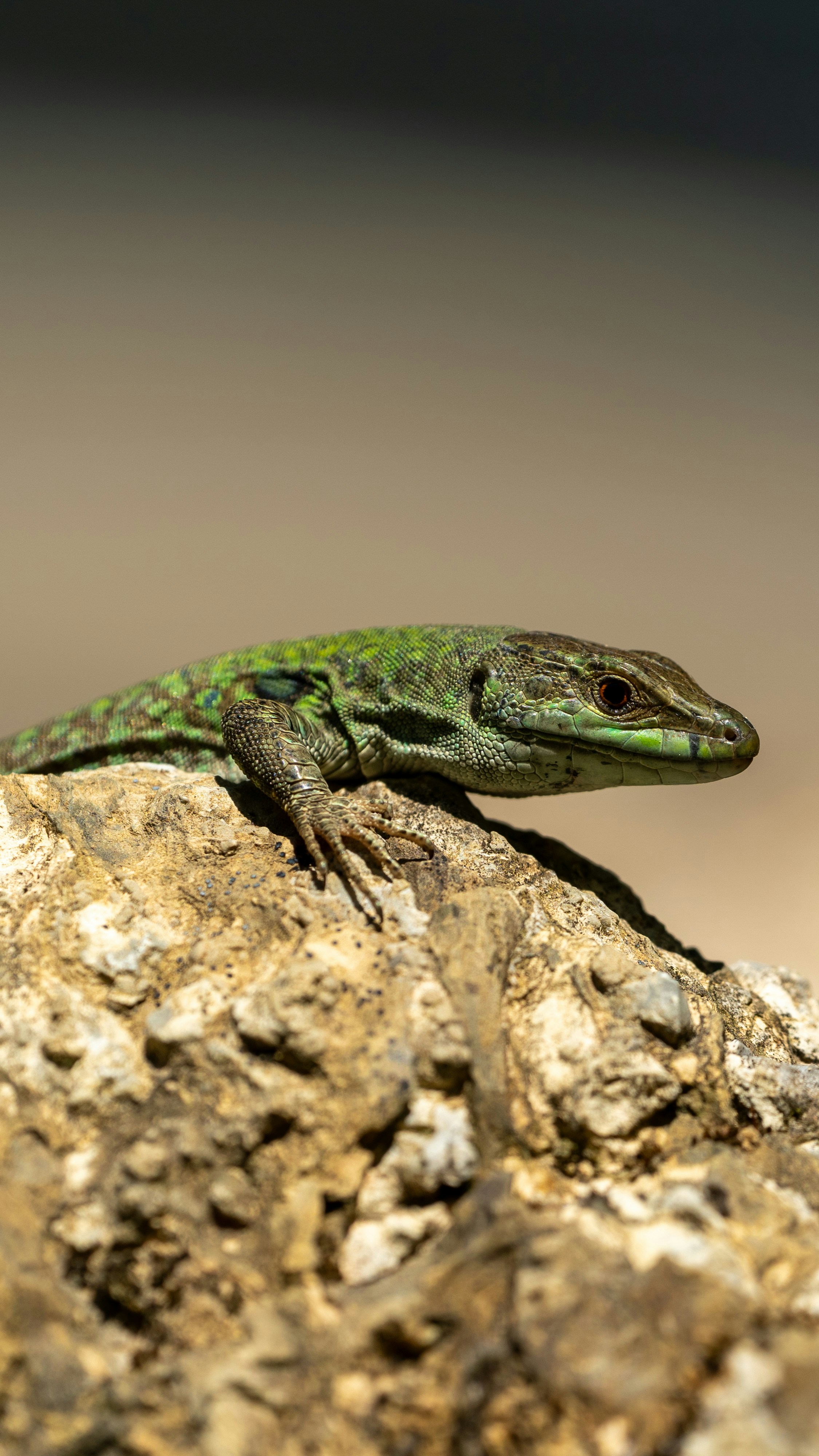 Photo by fatihsimsek