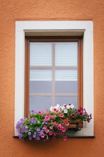 Window with colorful flowers in a planter