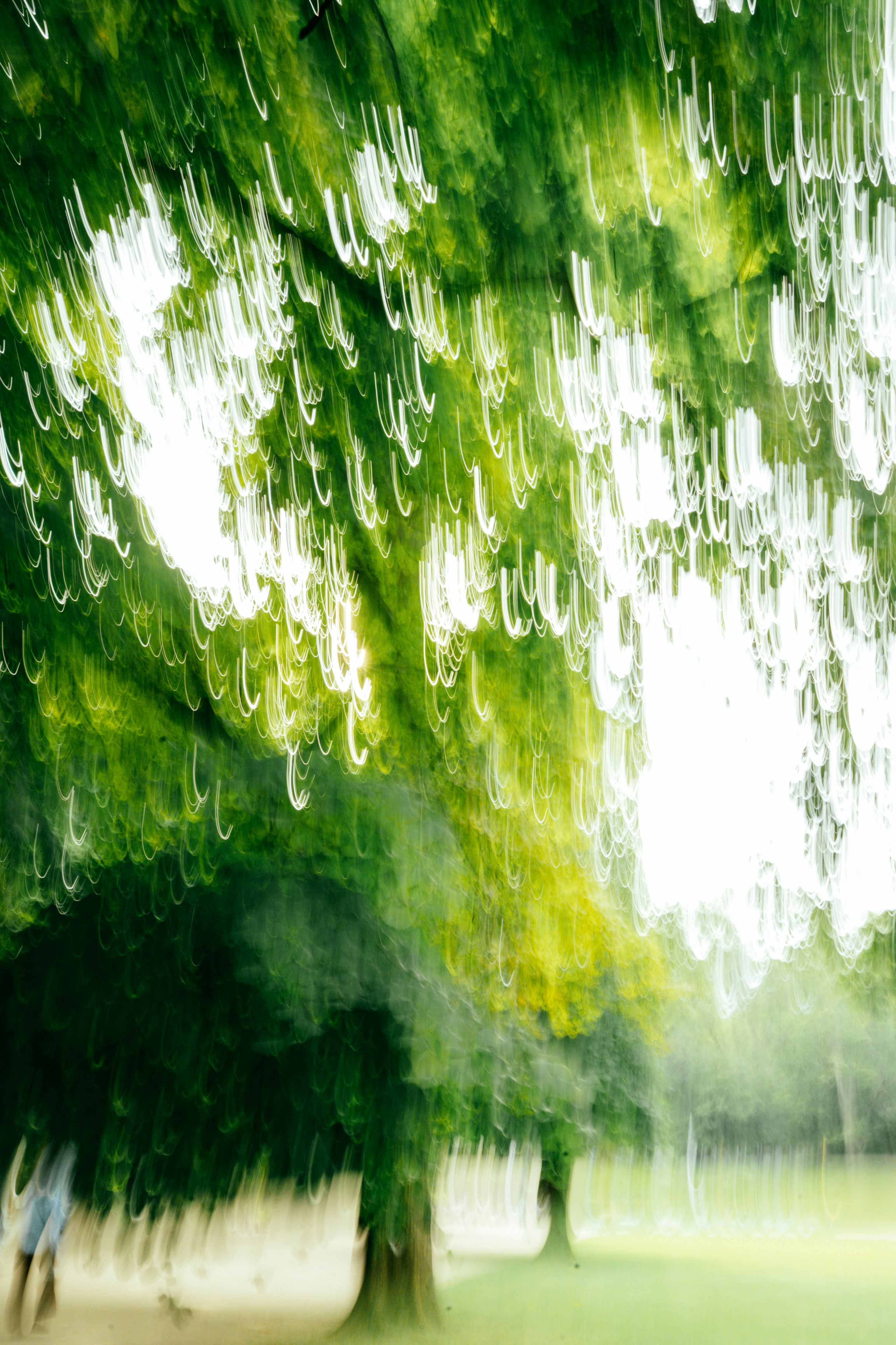 Abstract green trees with blurred light streaks