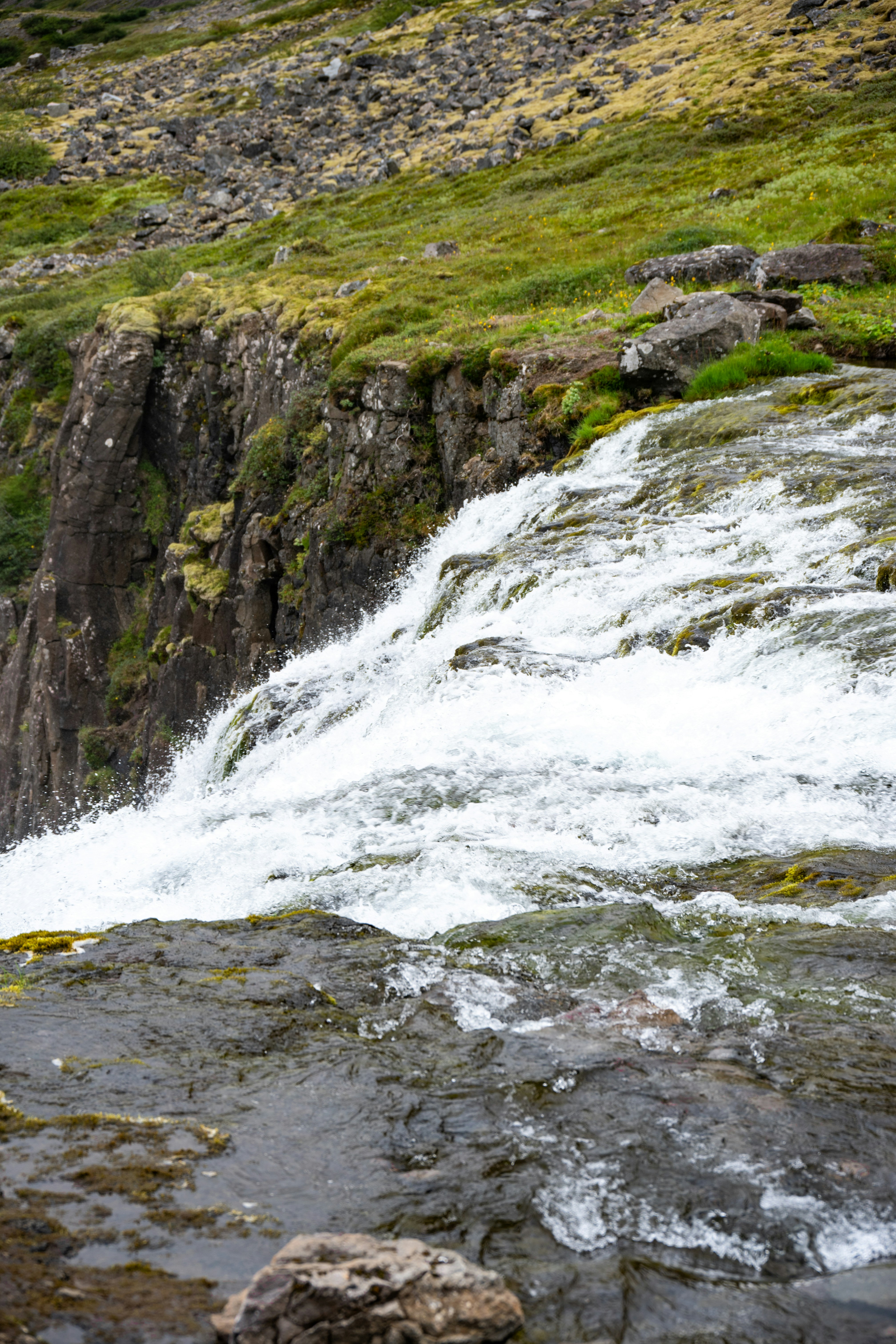 Photo by justmejuliee